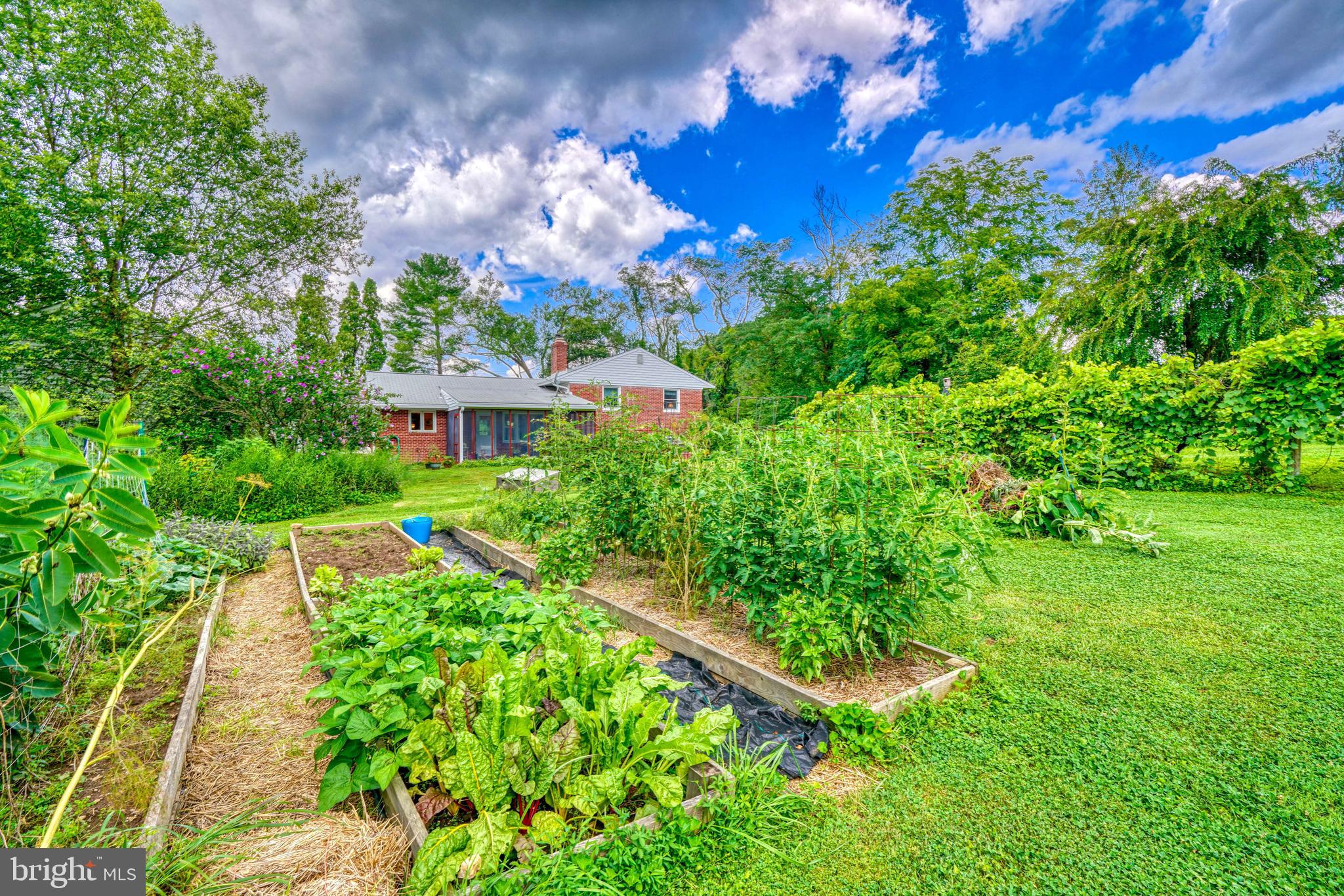 SPARKS GLENCOE - Residential