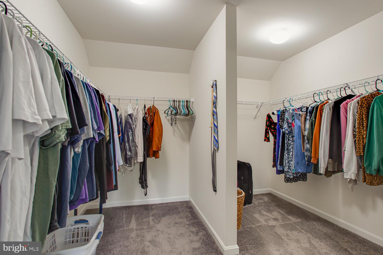 RANIERI RUN - Residential