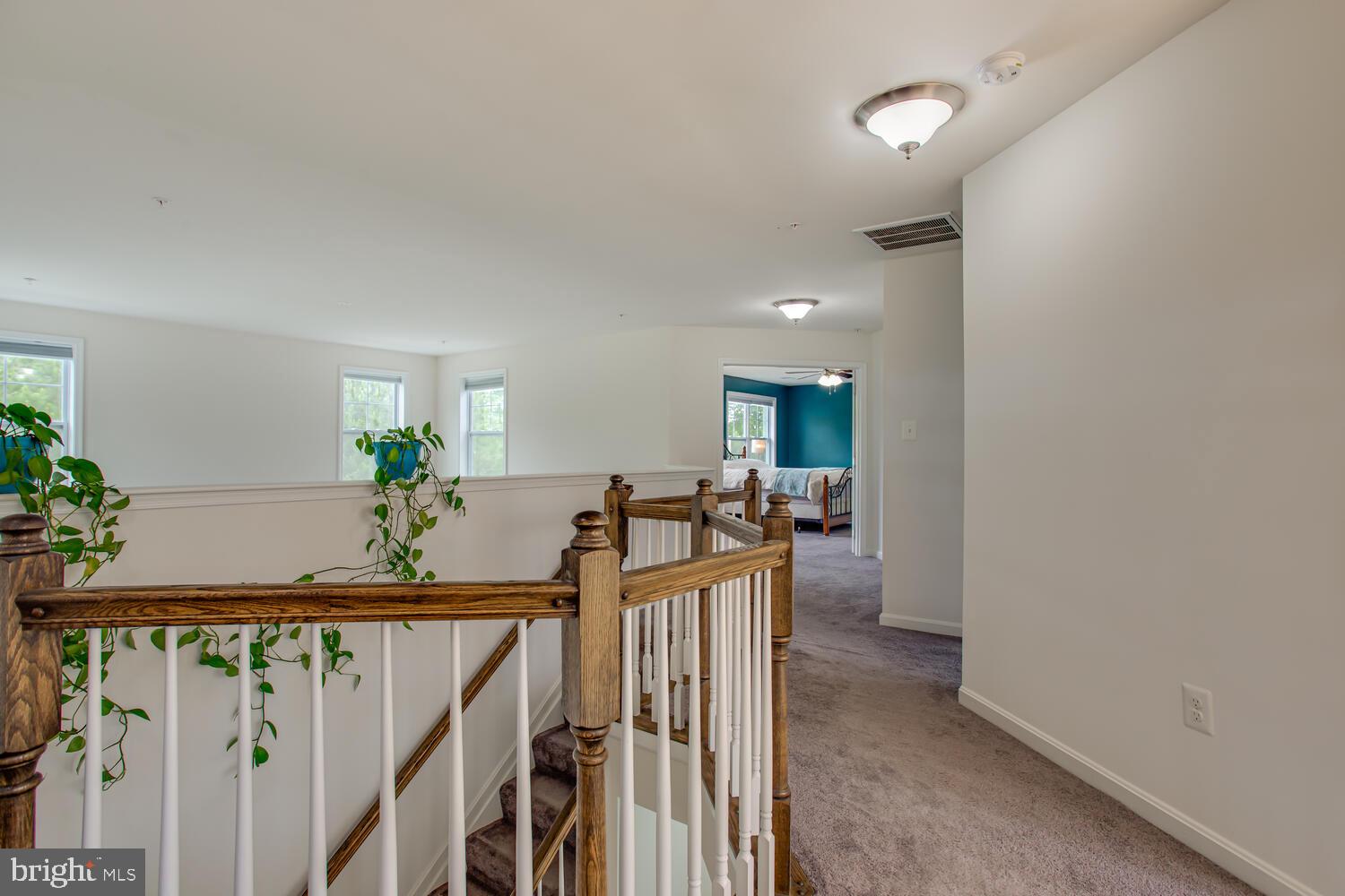 RANIERI RUN - Residential