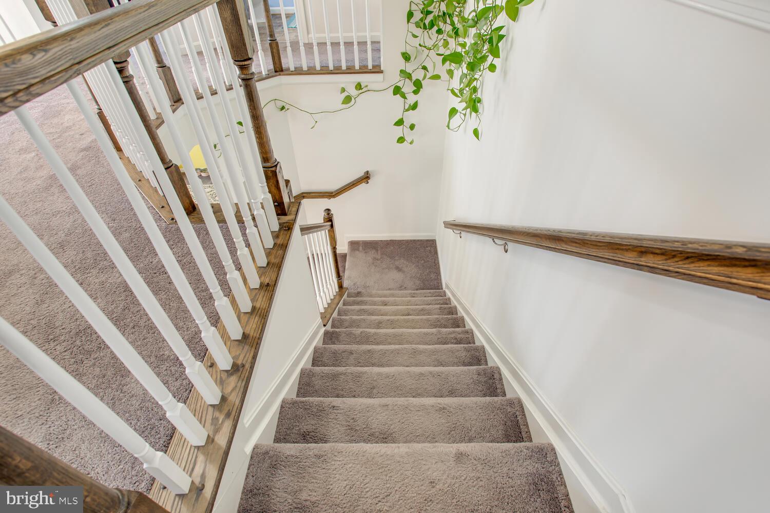 RANIERI RUN - Residential