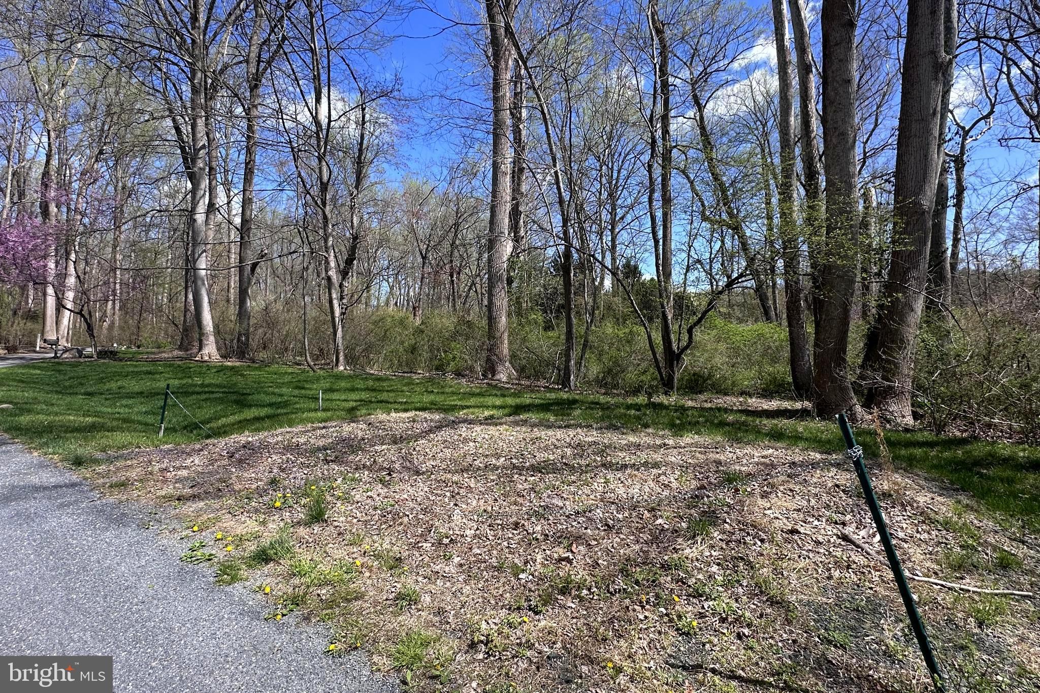 TRIADELPHIA ROAD