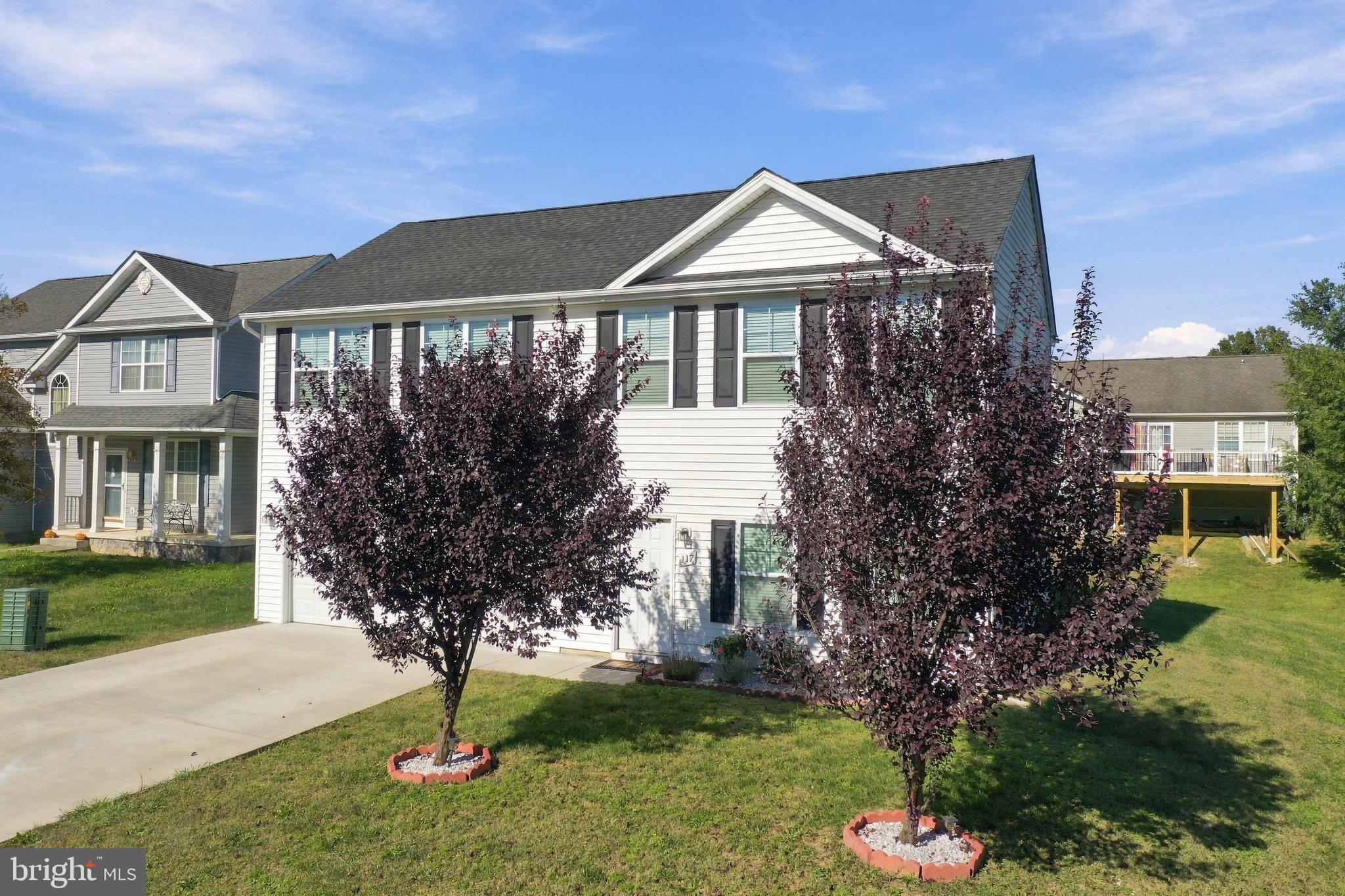 117 BUNTING AVENUE