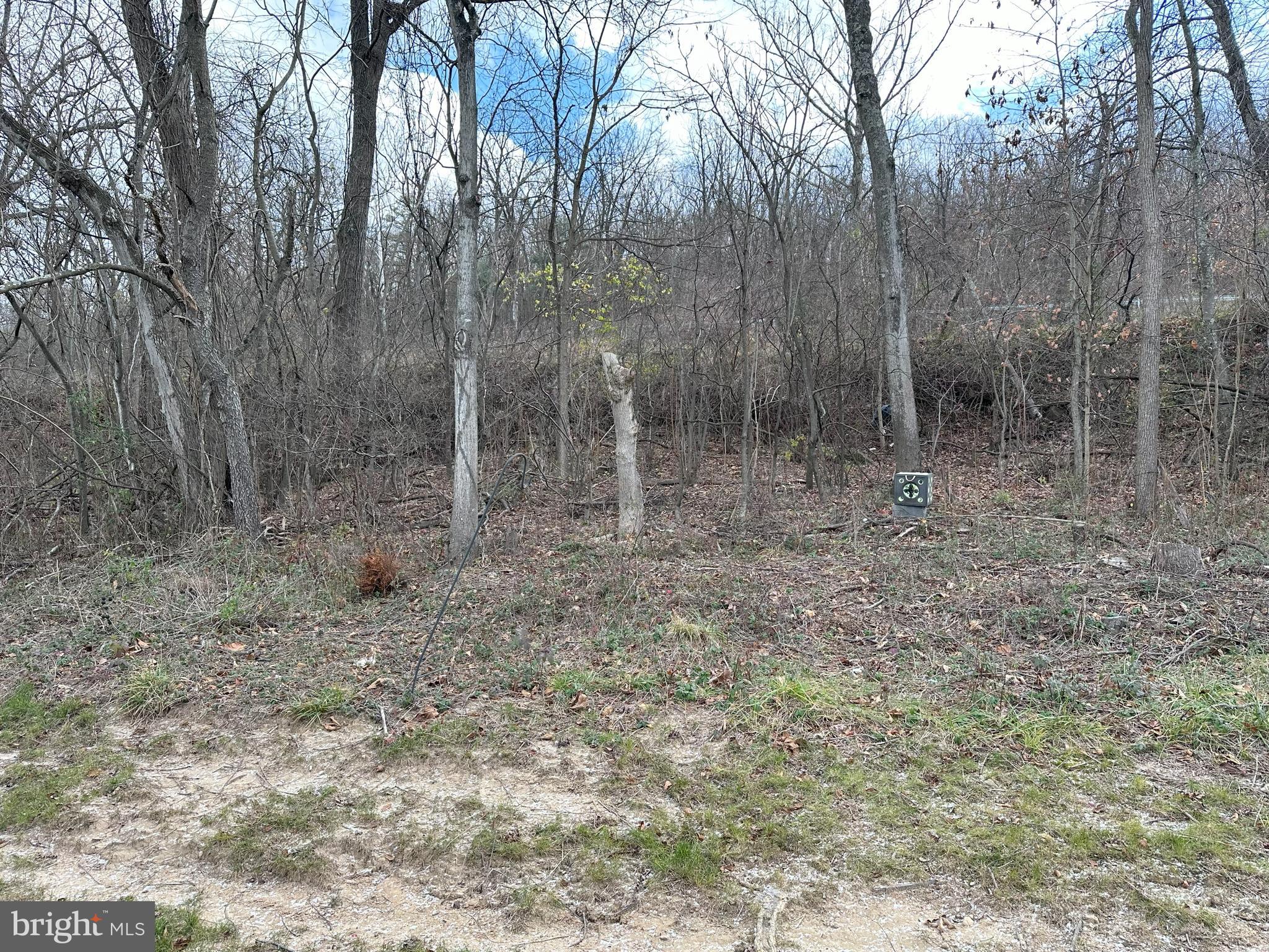 CAPON CORNERS - Residential