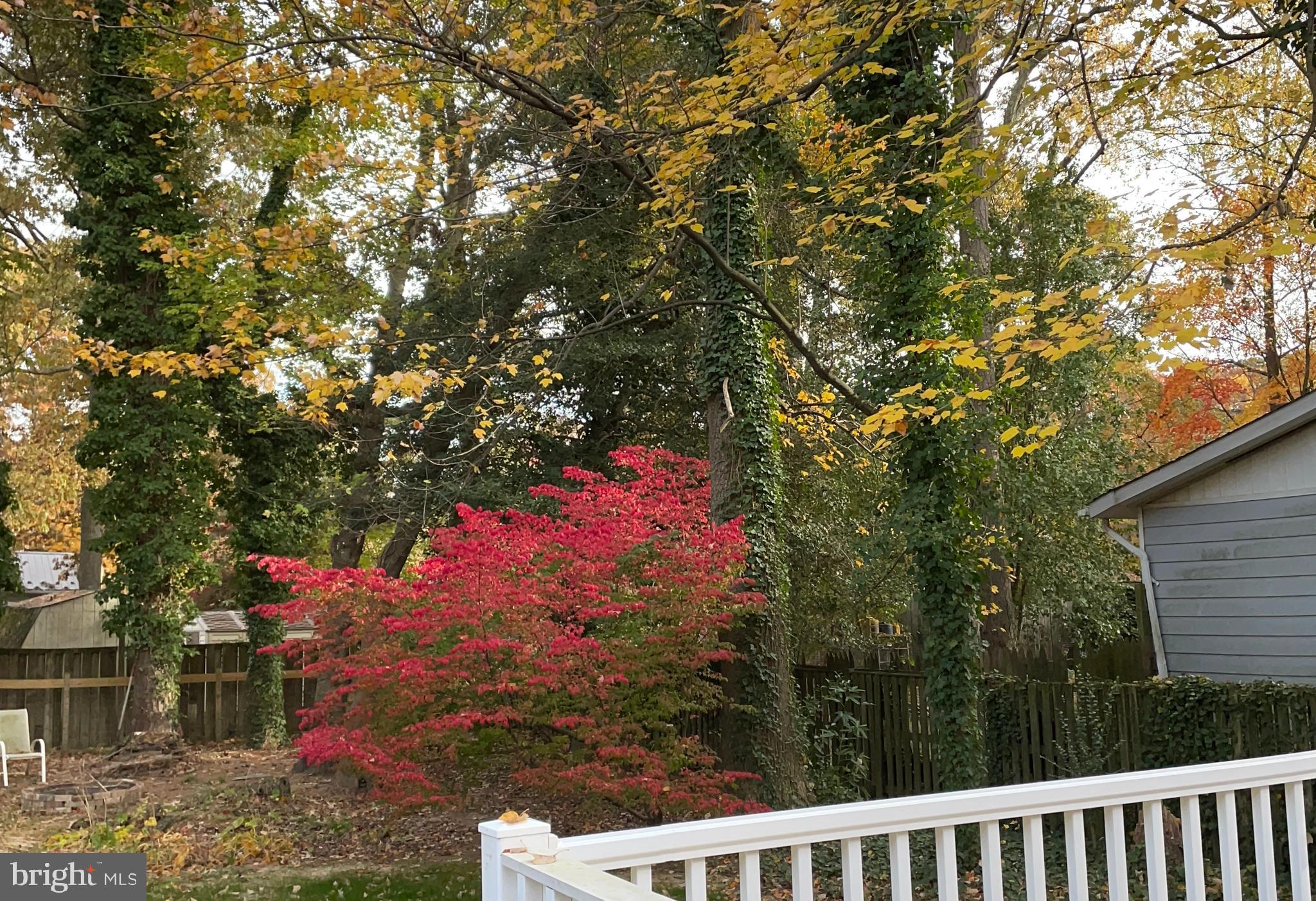 DRUM POINT - Residential