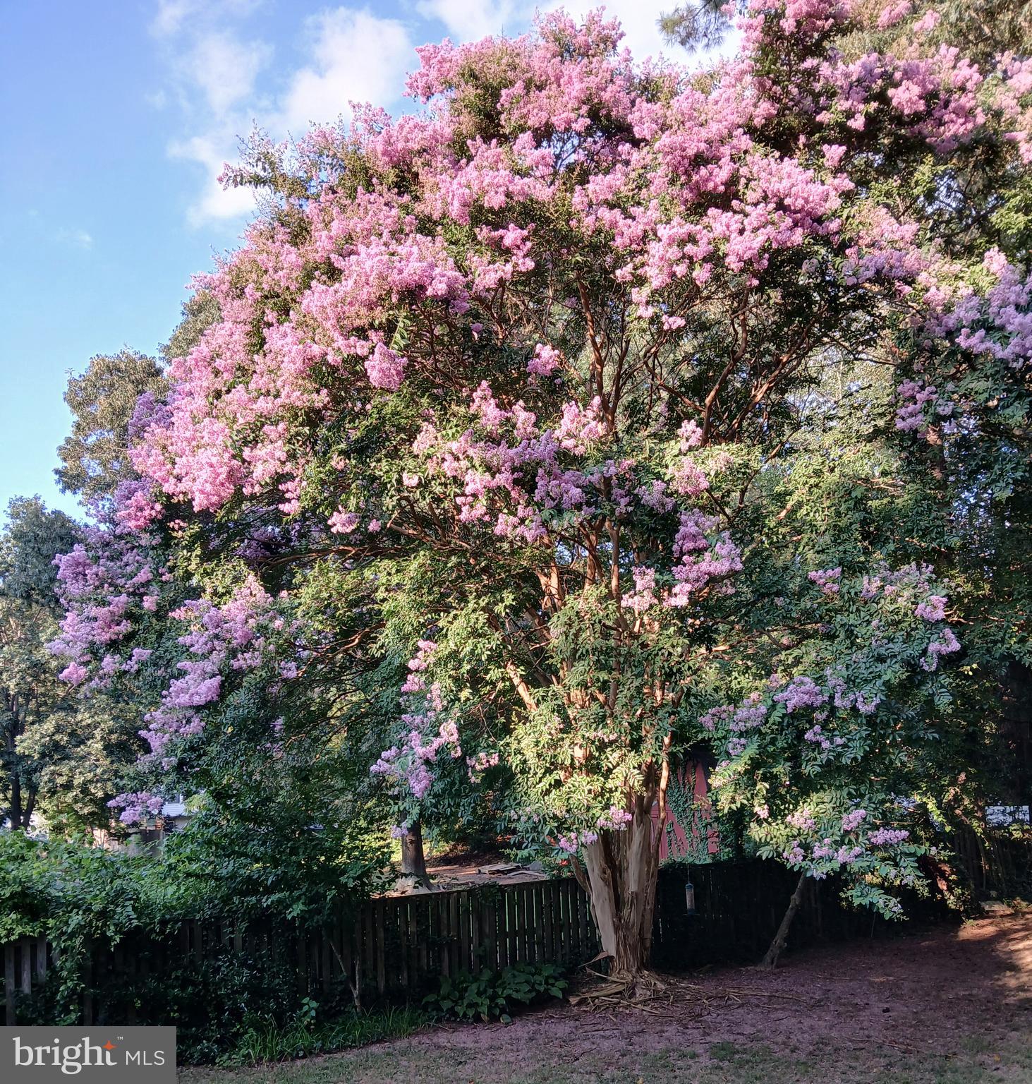 DRUM POINT - Residential