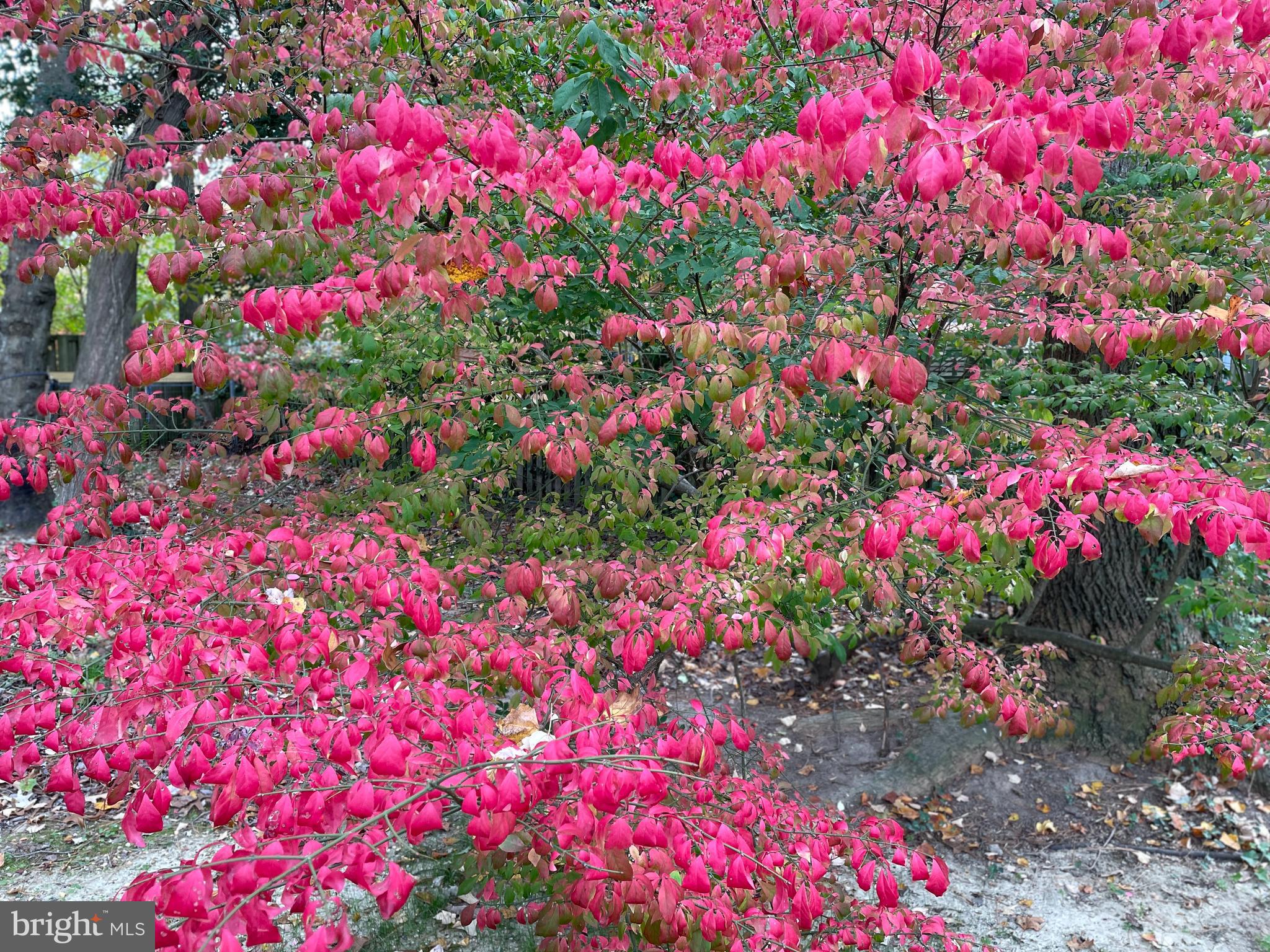 DRUM POINT - Residential