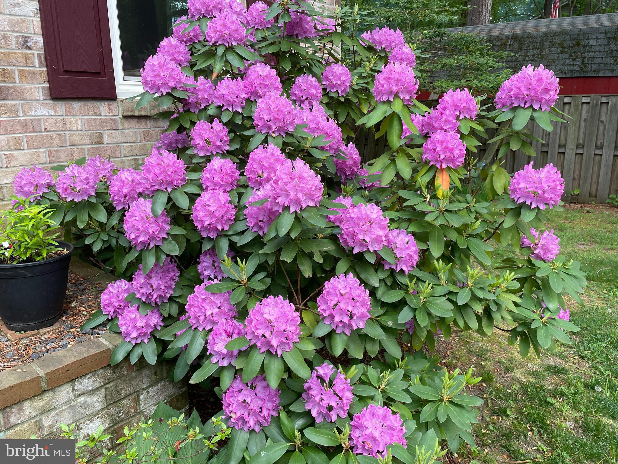 DRUM POINT - Residential