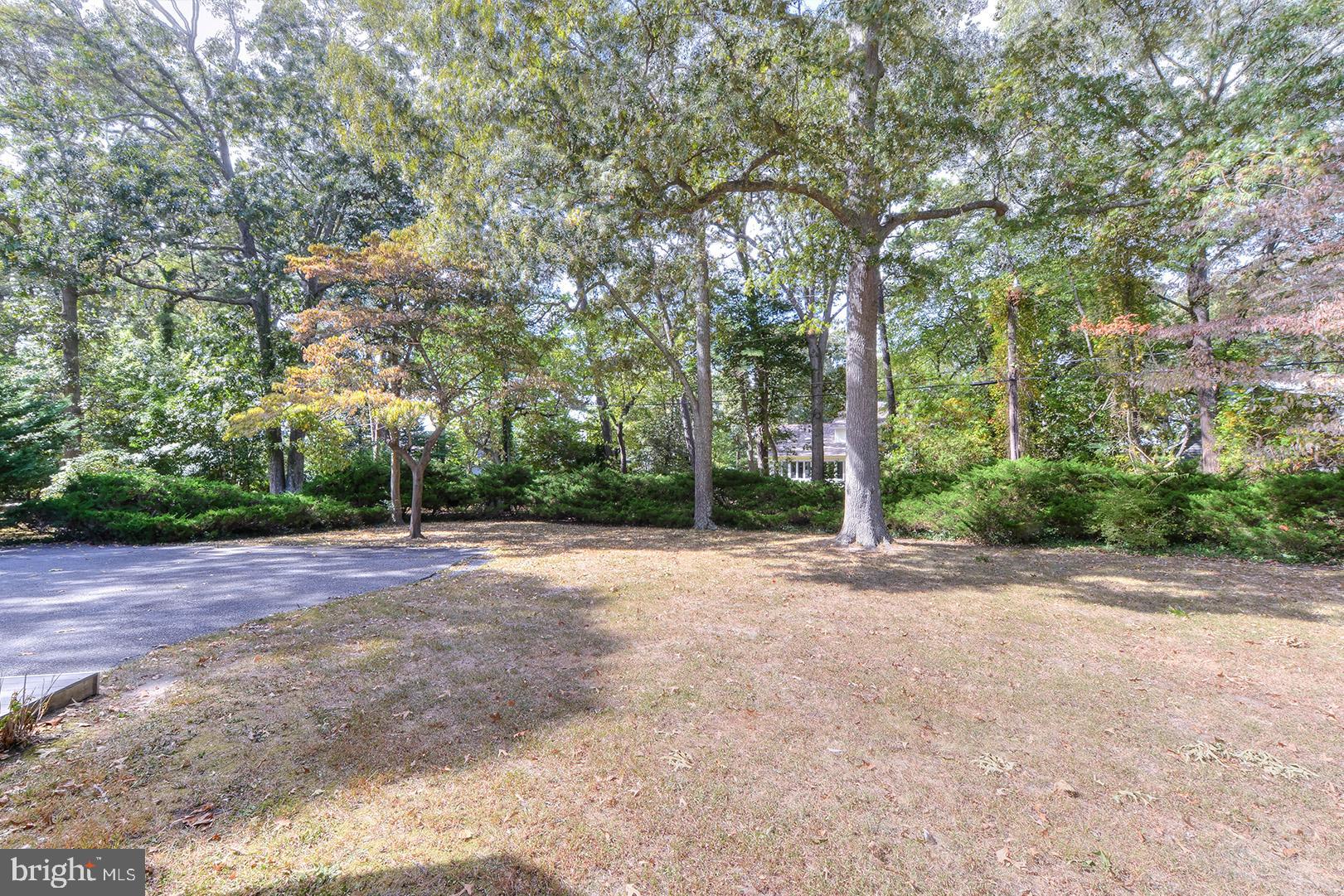 HENLOPEN ACRES - Residential