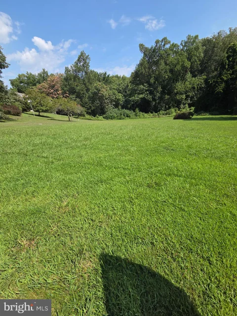 MLS: MDCC2022914