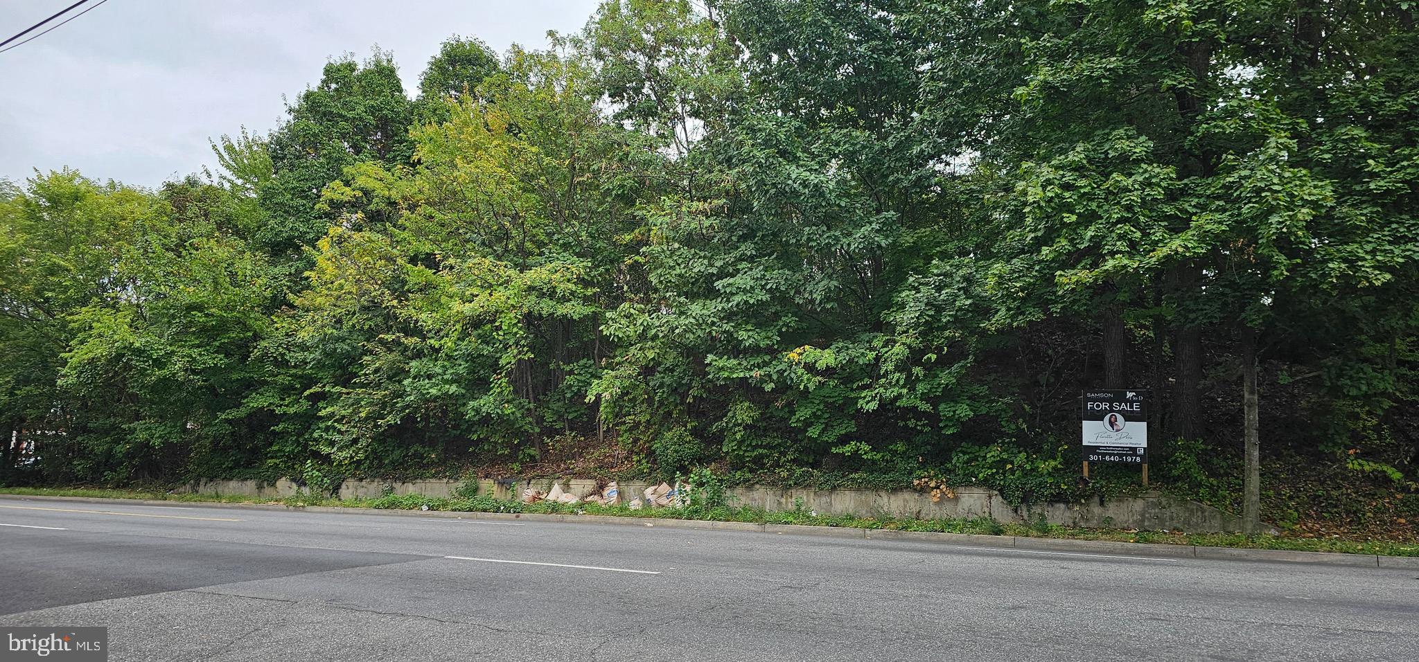 GEORGE J BRADBURY - Land