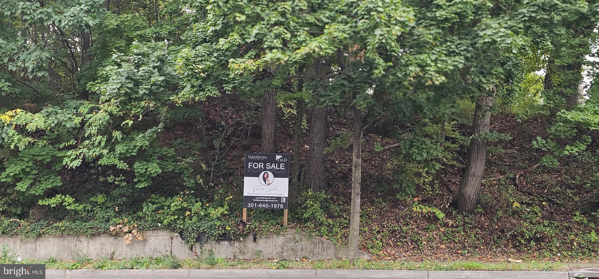 GEORGE J BRADBURY - Land