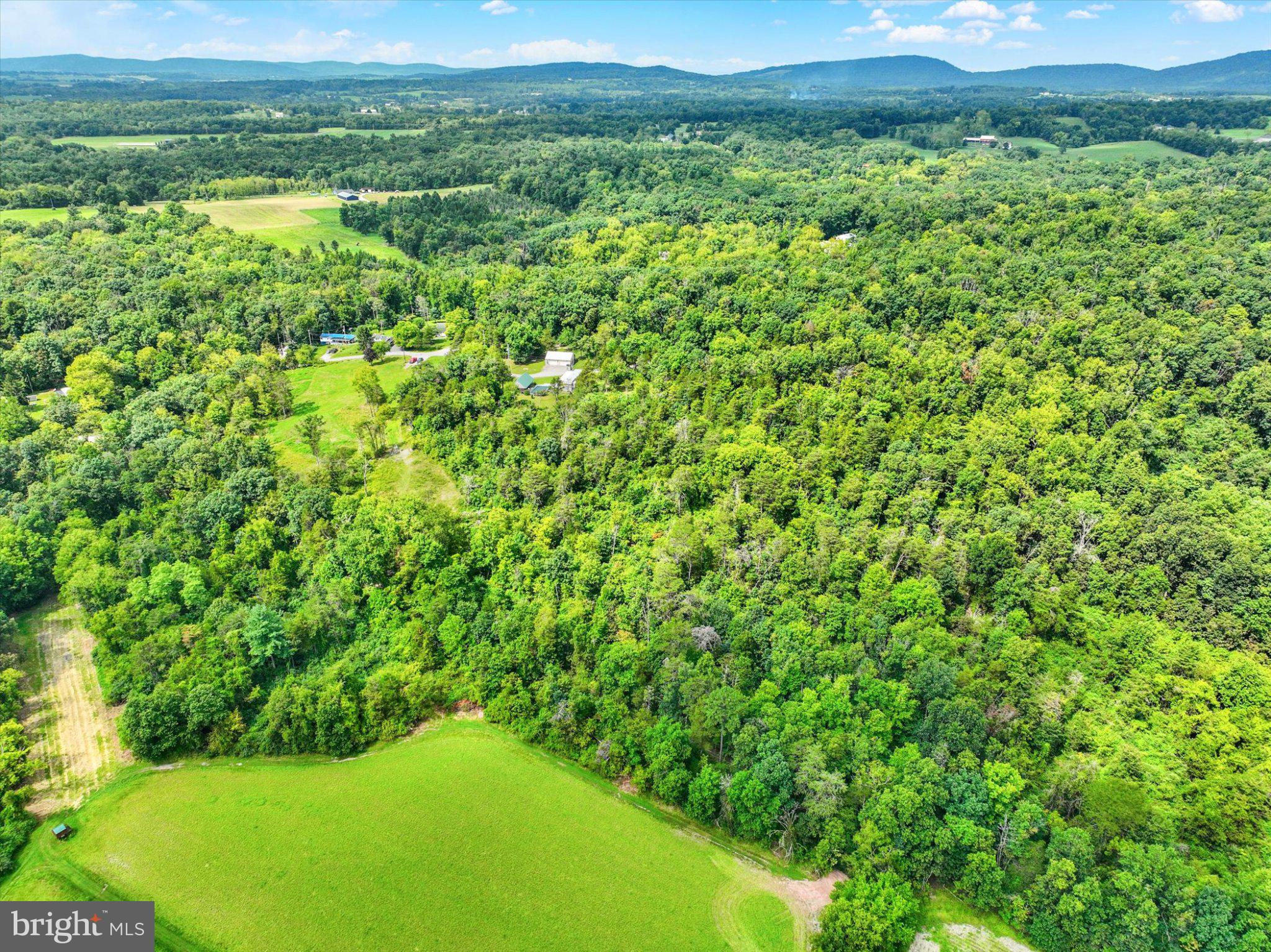 245 BUMBLE BEE HOLLOW ROAD