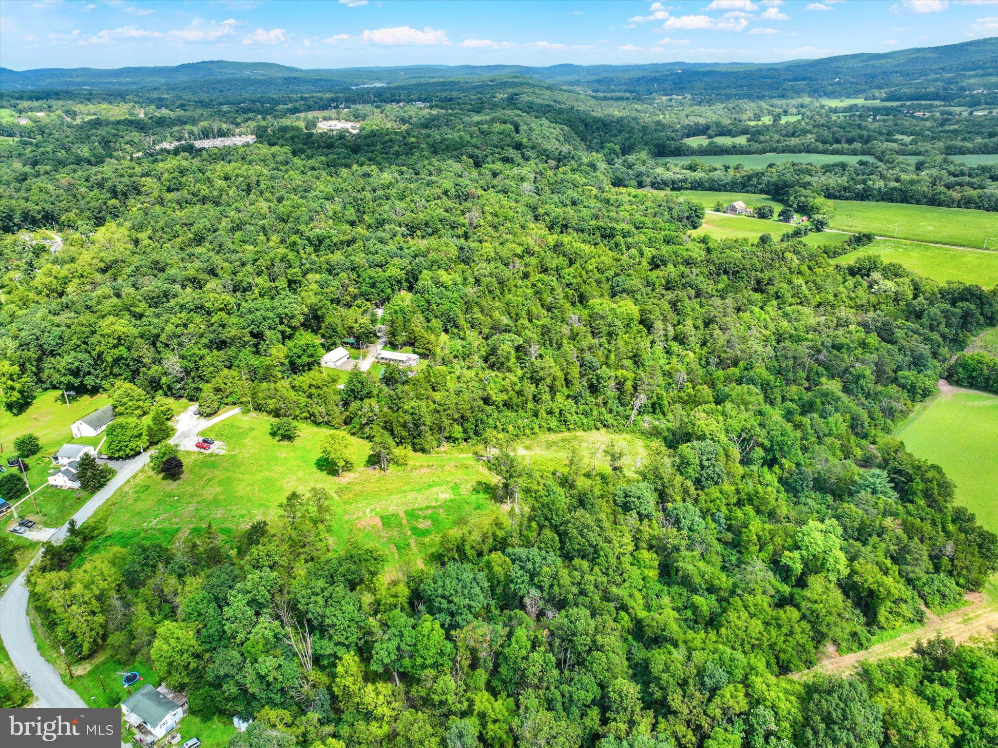 245 BUMBLE BEE HOLLOW ROAD