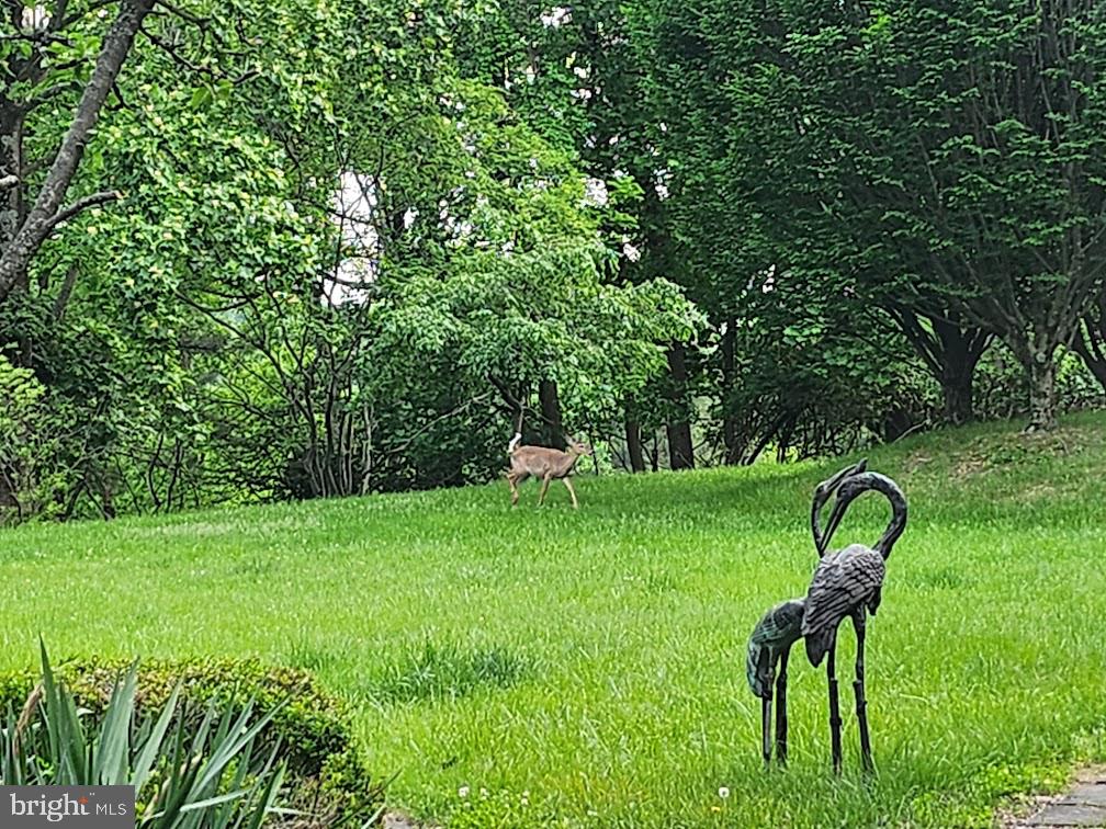 CHARLESTOWN TWP - Residential