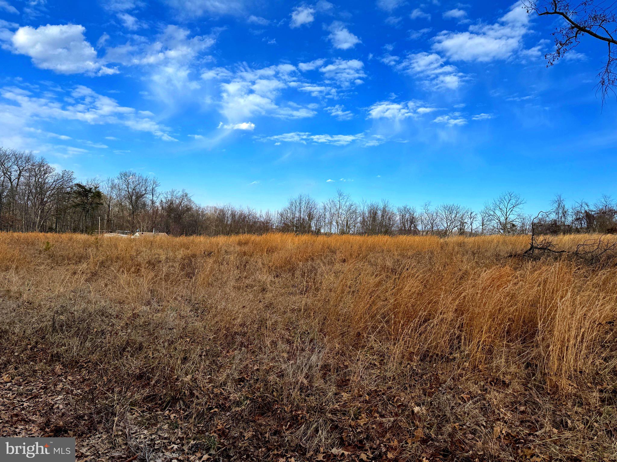 TOWN HILL RANCHES - Land