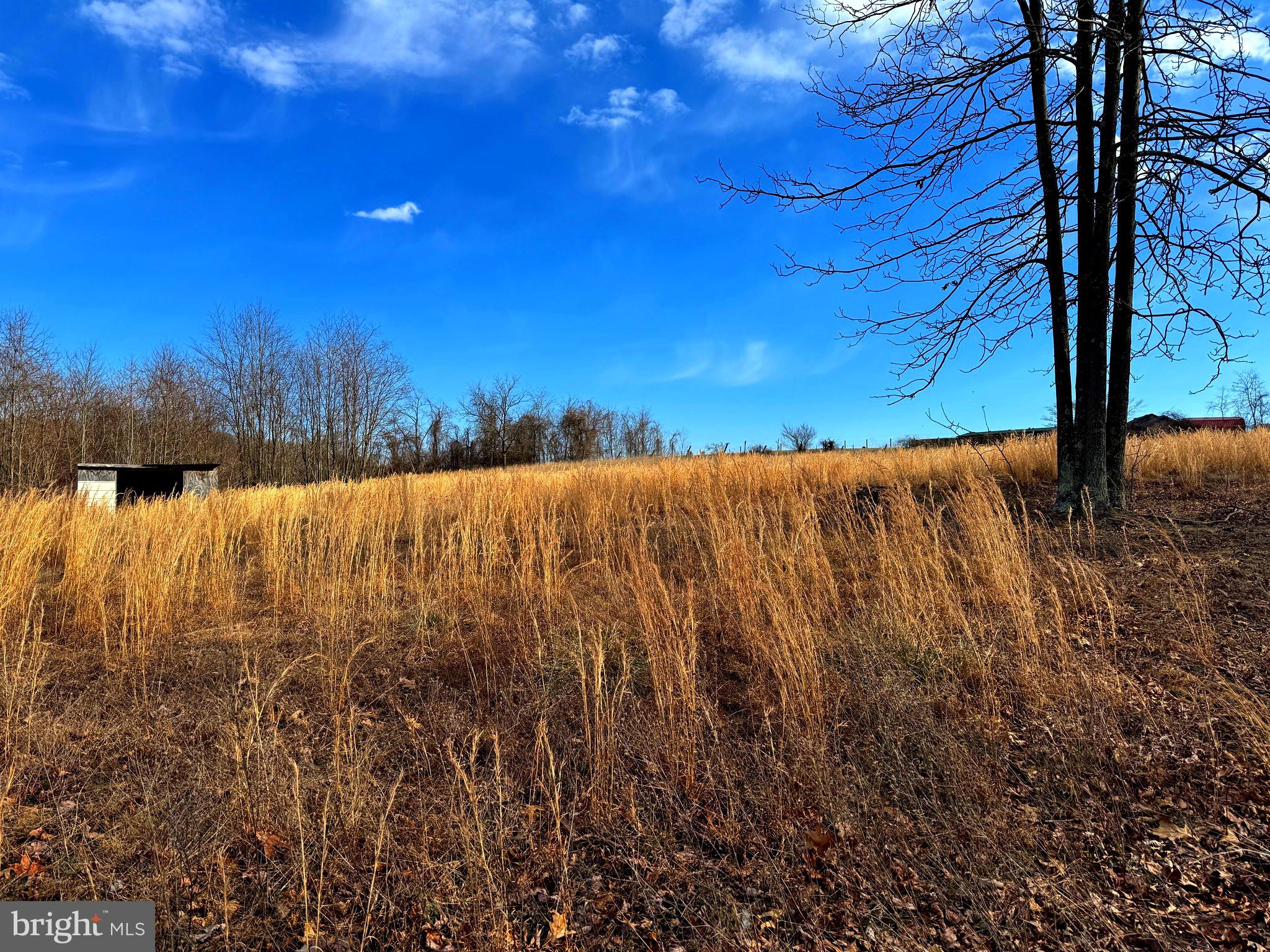 TOWN HILL RANCHES - Land