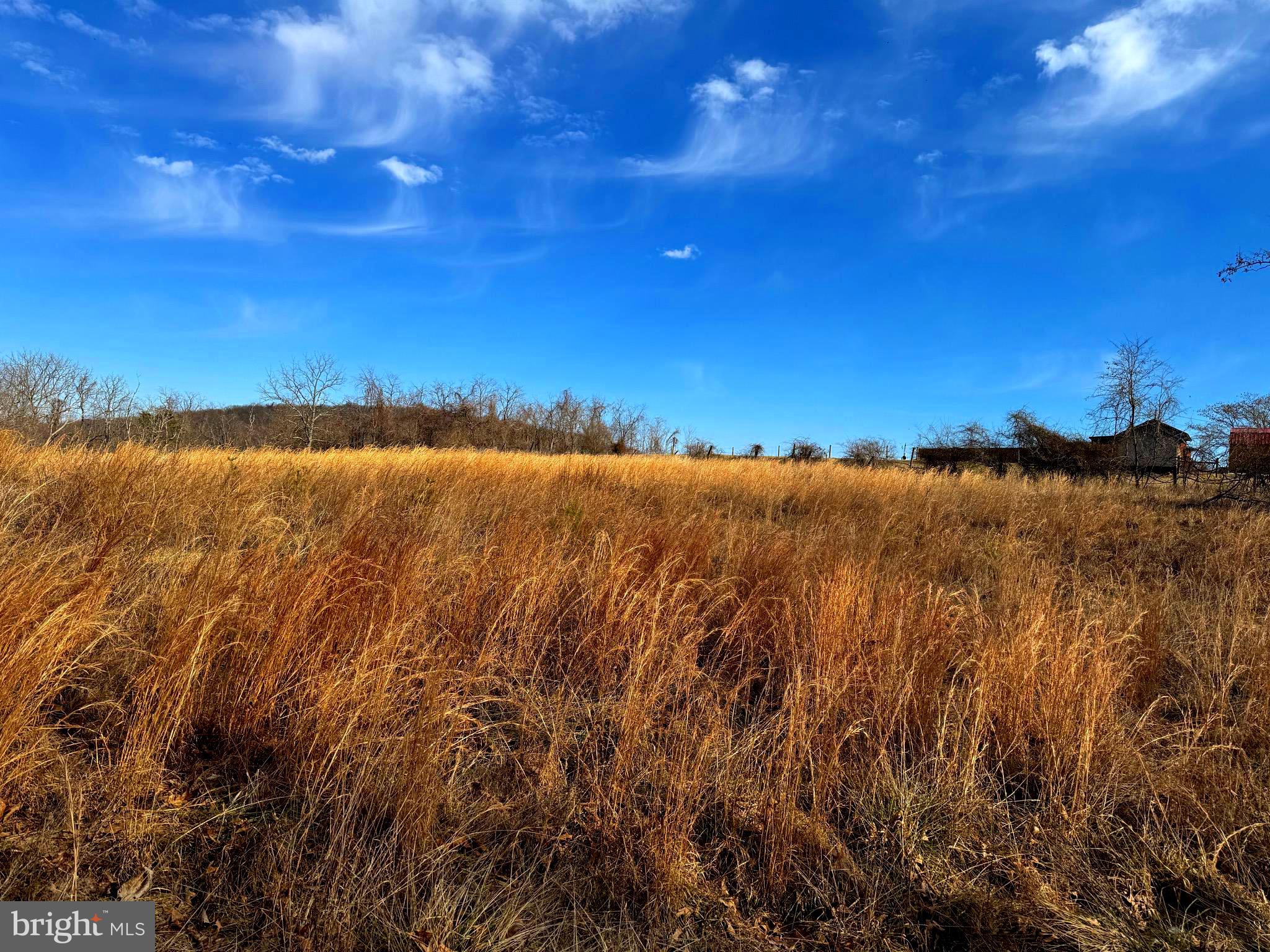 TOWN HILL RANCHES - Land