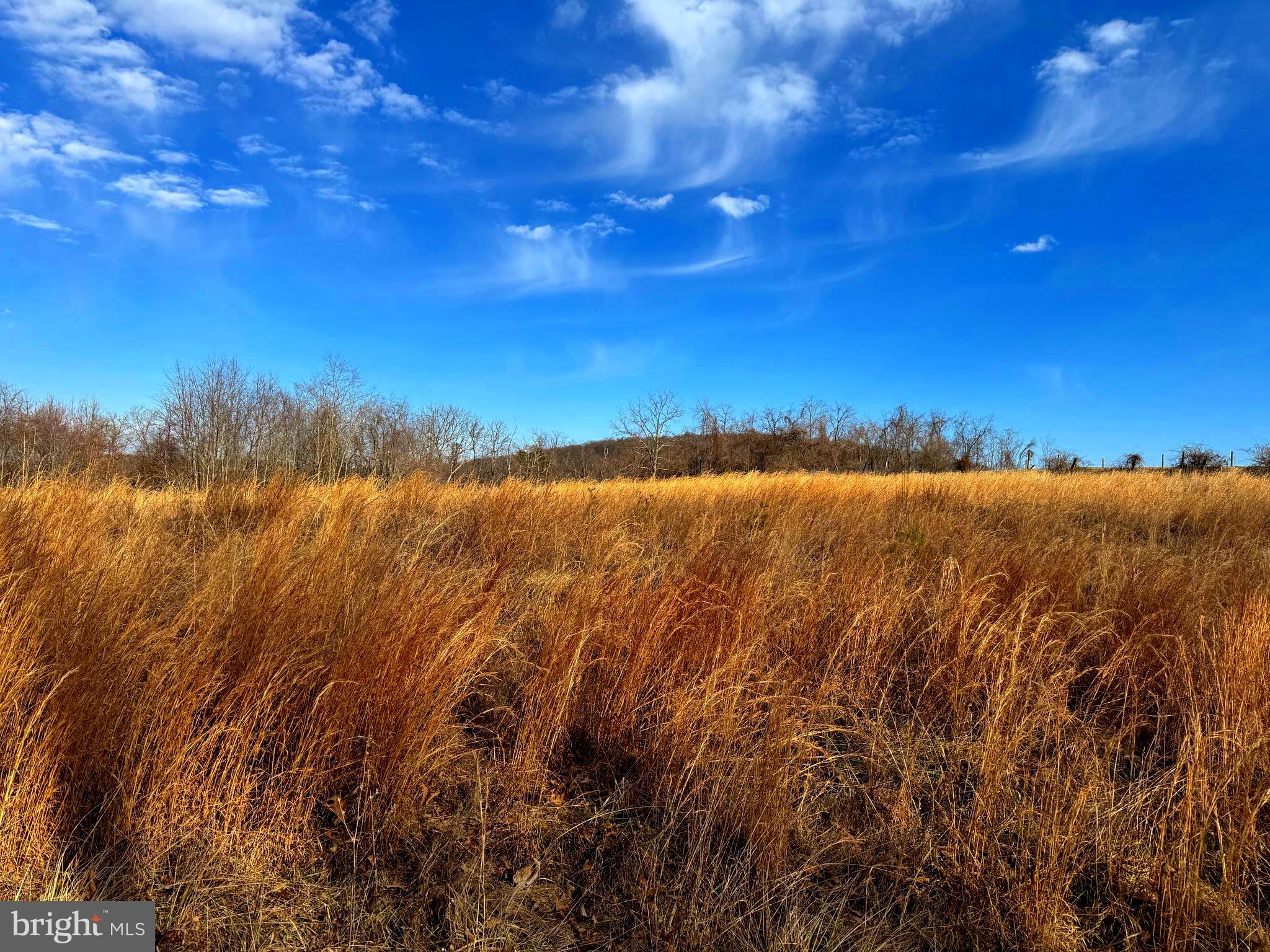 TOWN HILL RANCHES - Land