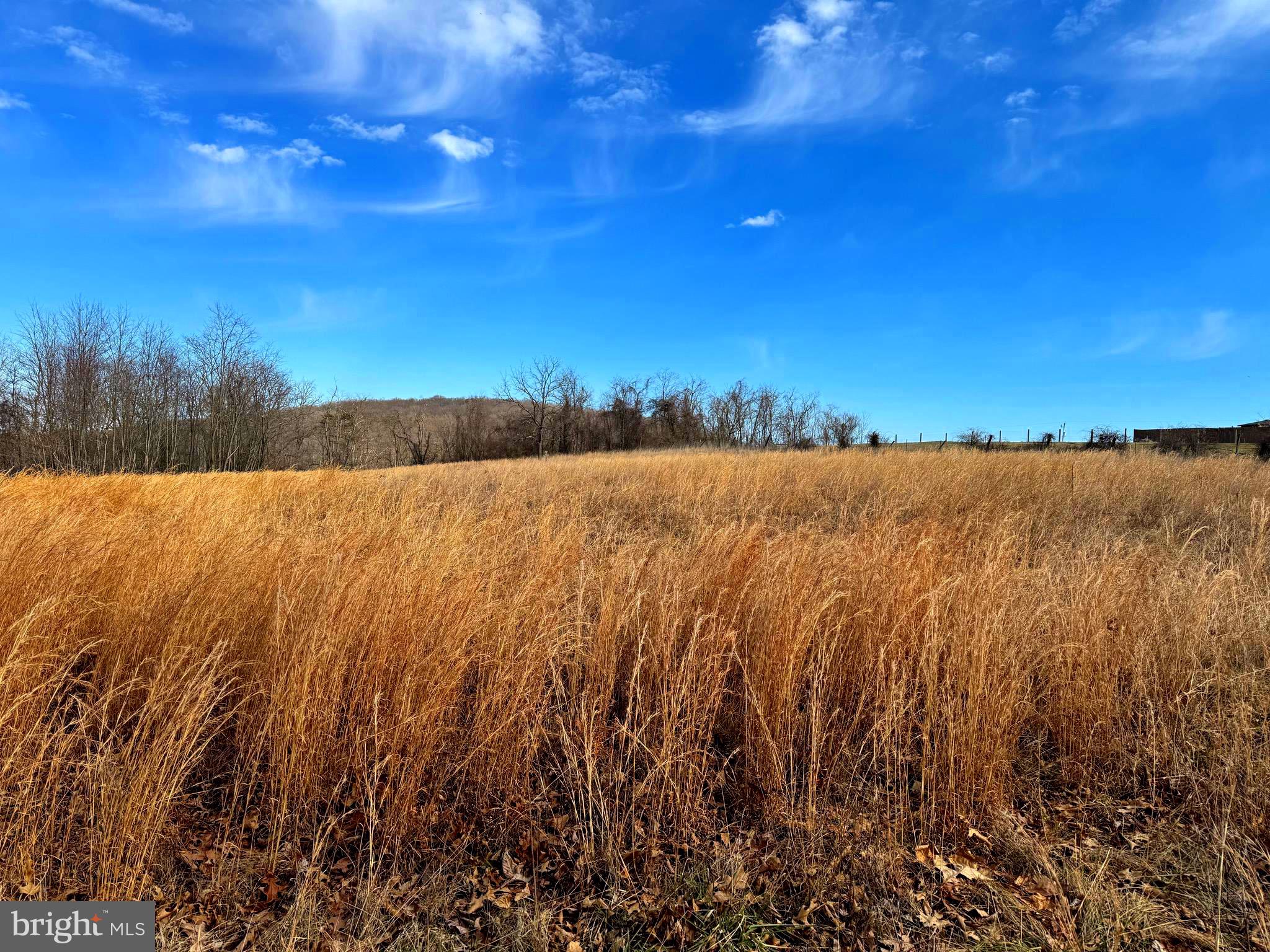 TOWN HILL RANCHES - Land