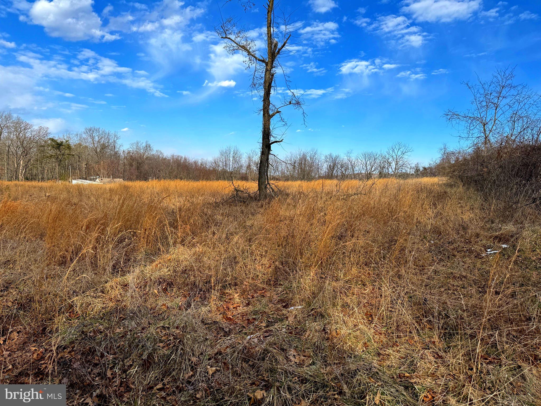 TOWN HILL RANCHES - Land
