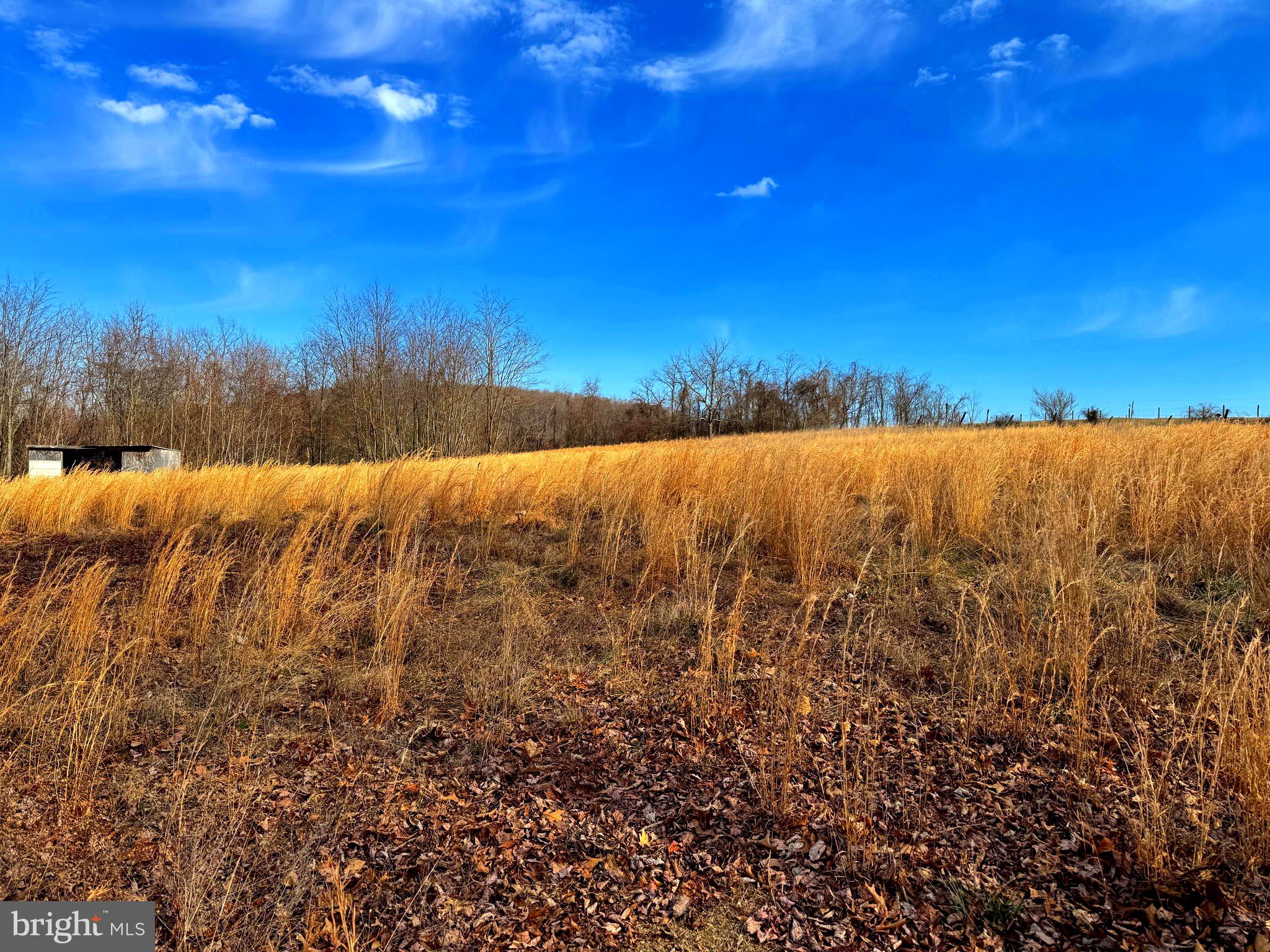 TOWN HILL RANCHES - Land