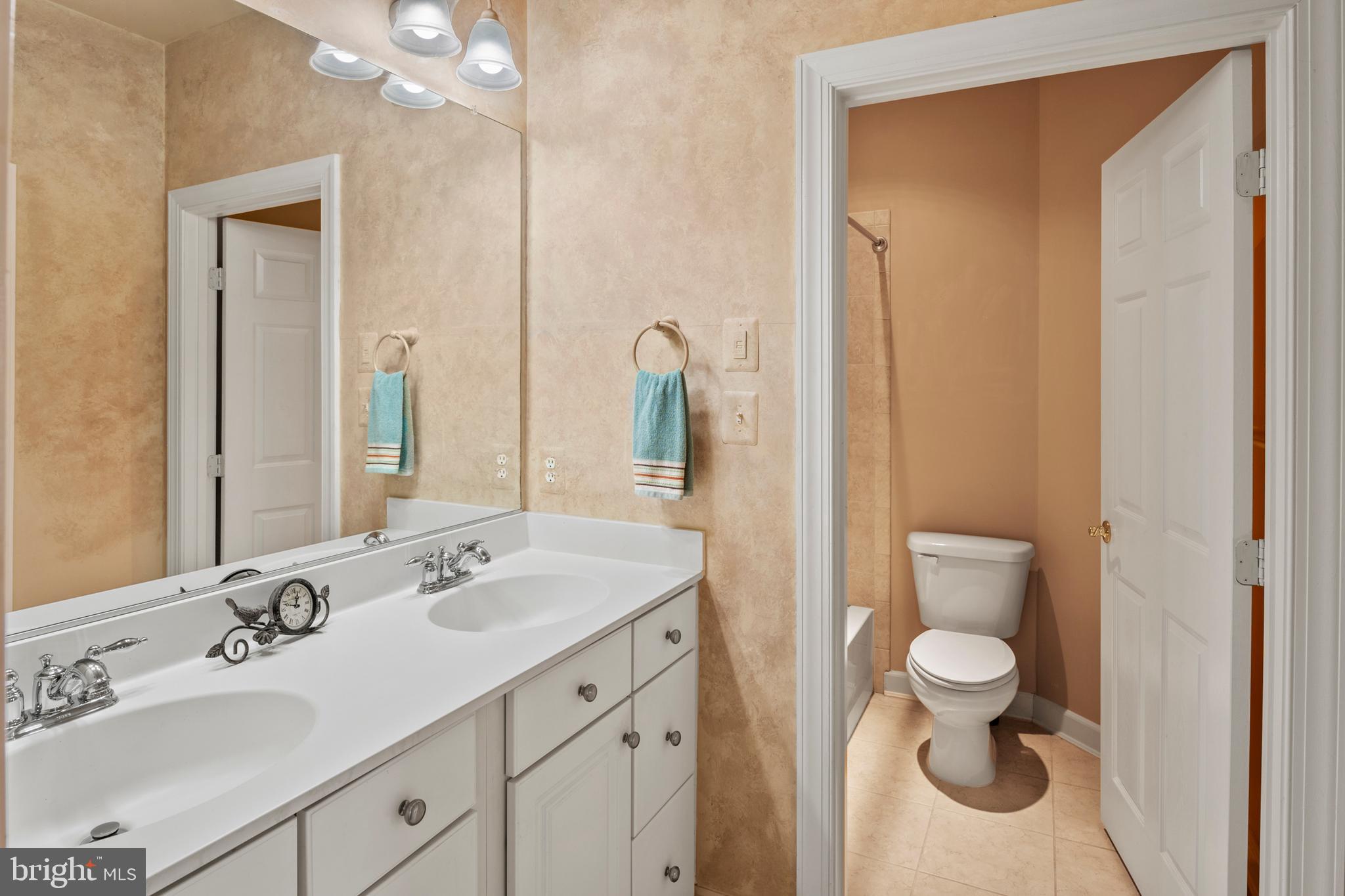 ELLICOTT MEADOWS - Residential