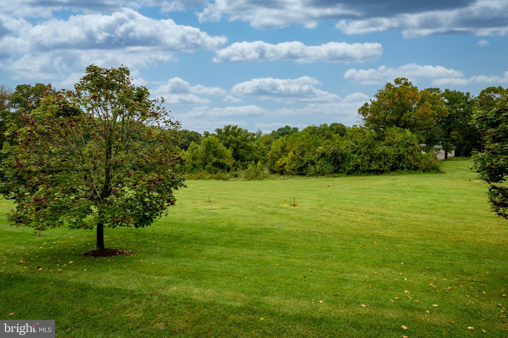 ELLICOTT MEADOWS - Residential