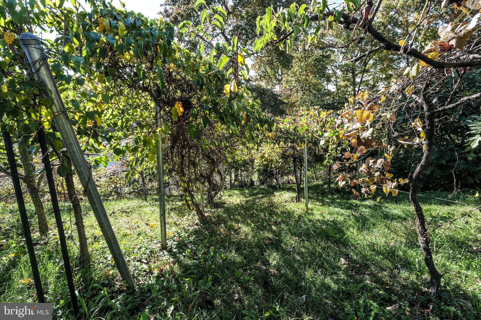 HAPPY CREEK KNOLLS - Residential