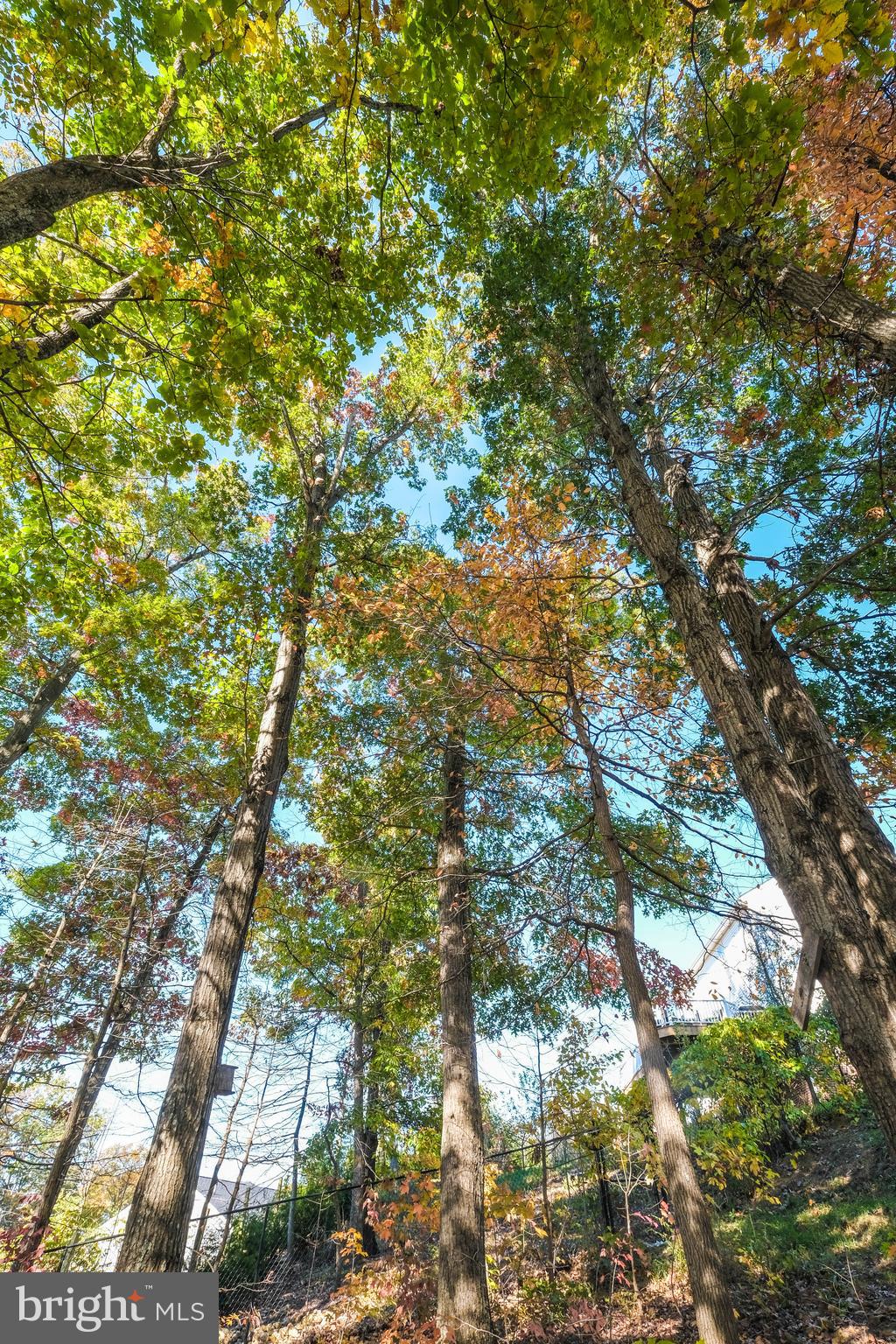 HAPPY CREEK KNOLLS - Residential