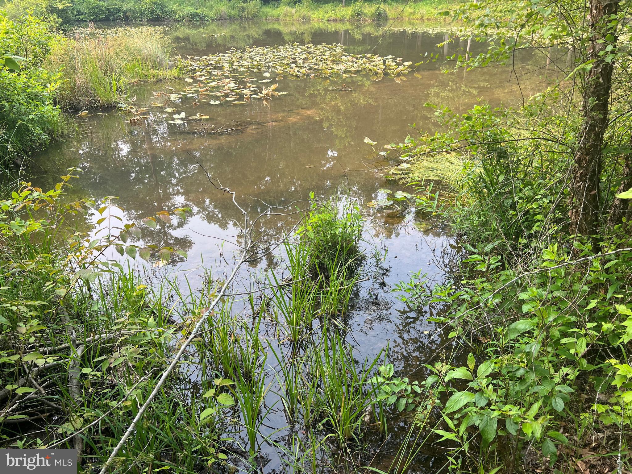 THE WATERS AT LAKE ANNA - Land