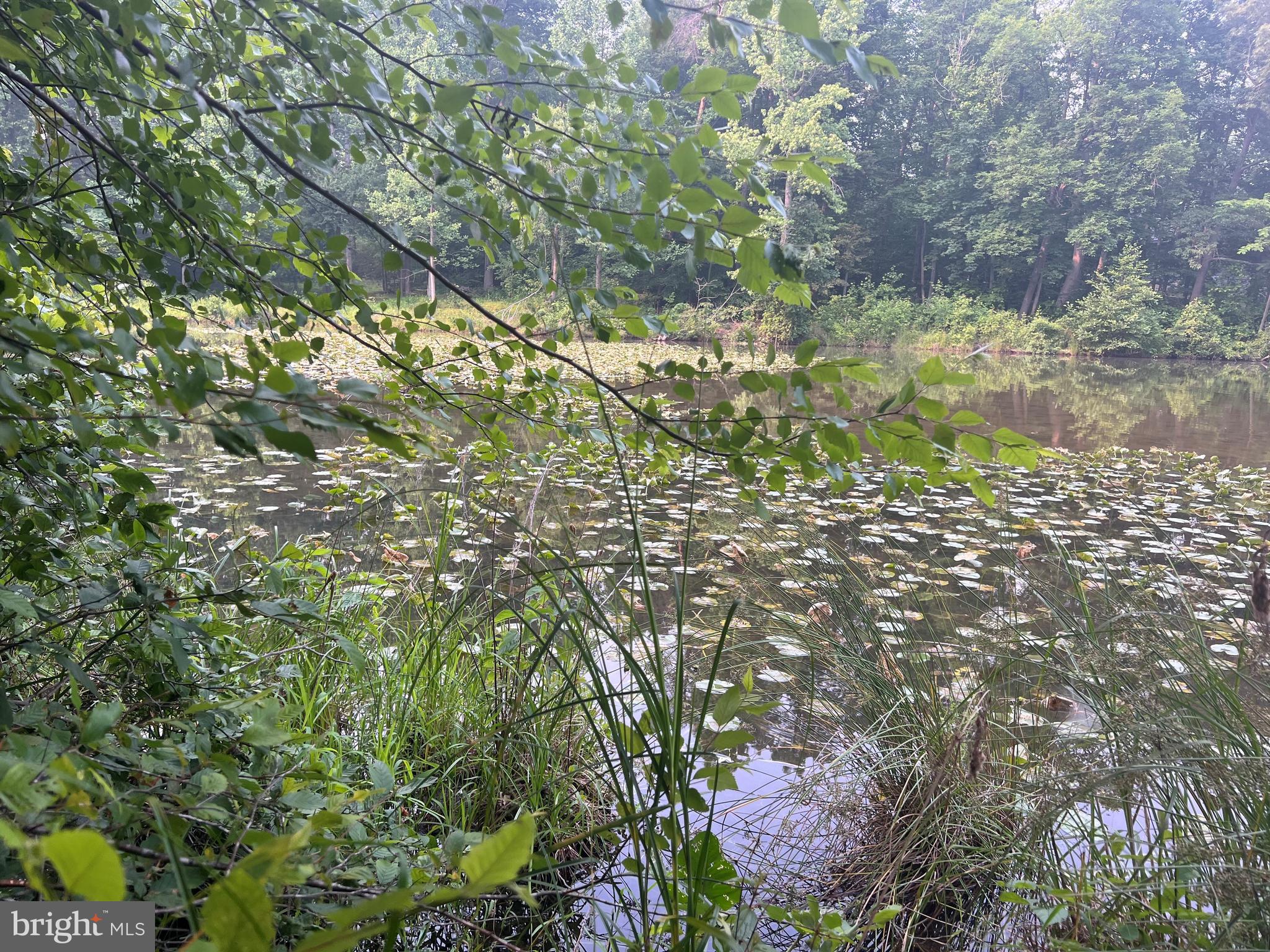 THE WATERS AT LAKE ANNA - Land