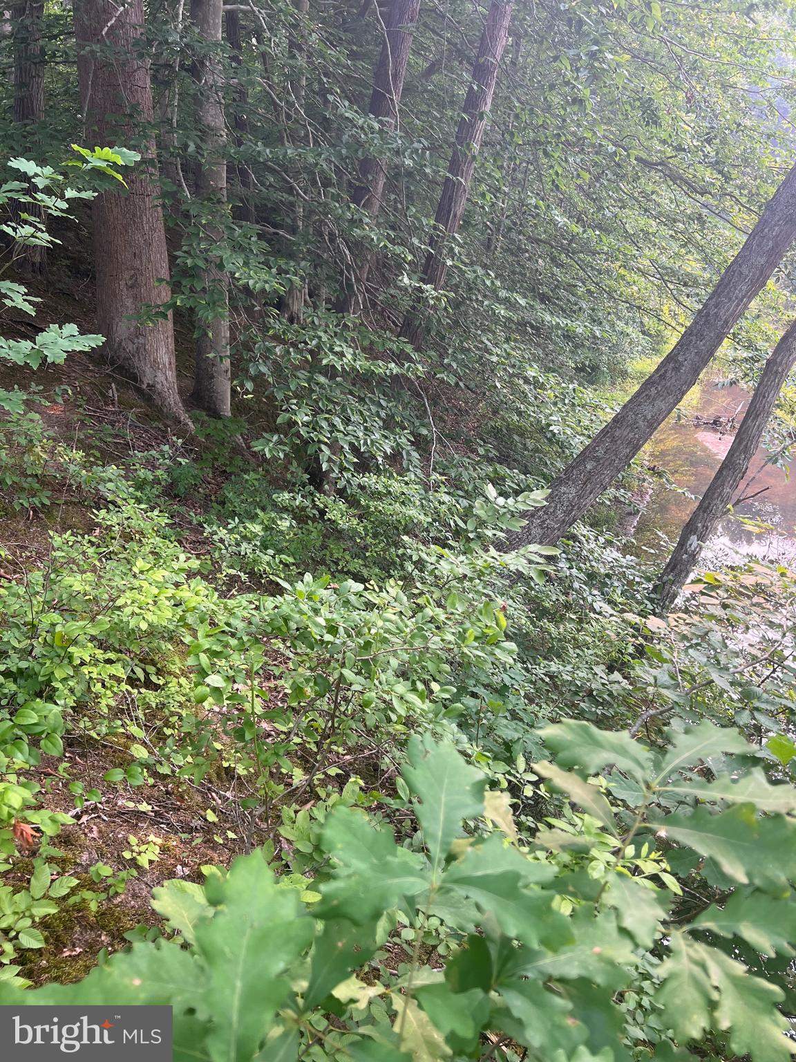 THE WATERS AT LAKE ANNA - Land