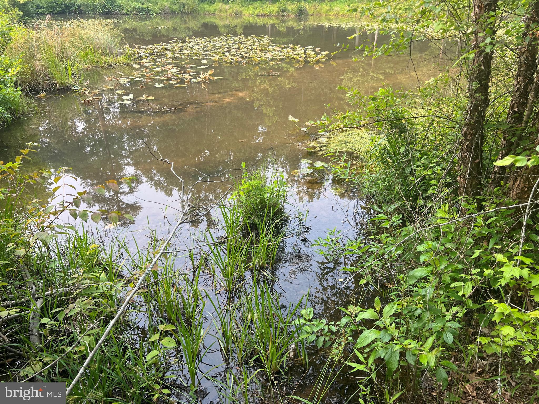 THE WATERS AT LAKE ANNA - Land