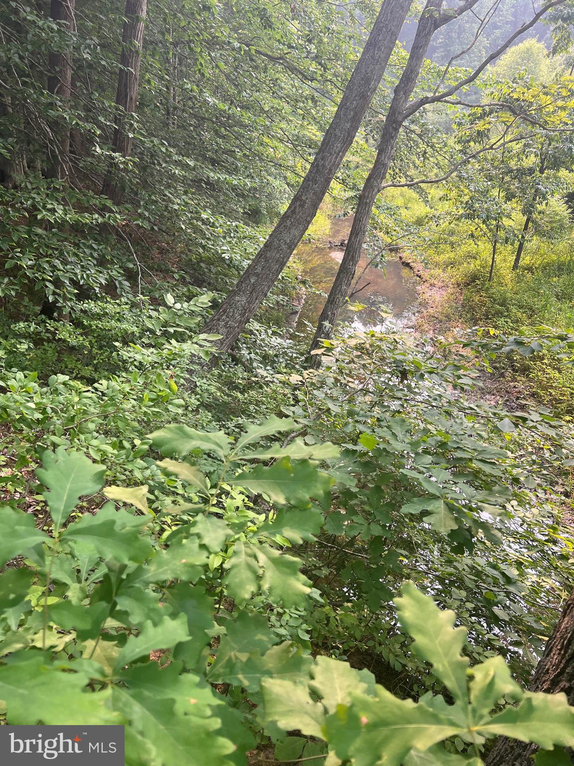 THE WATERS AT LAKE ANNA - Land
