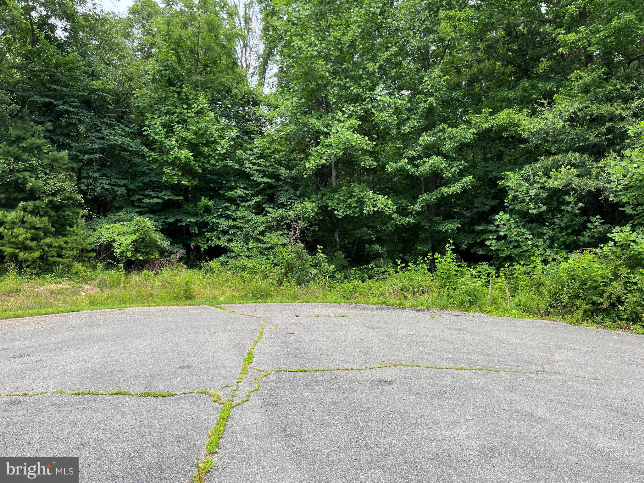 THE WATERS AT LAKE ANNA - Land