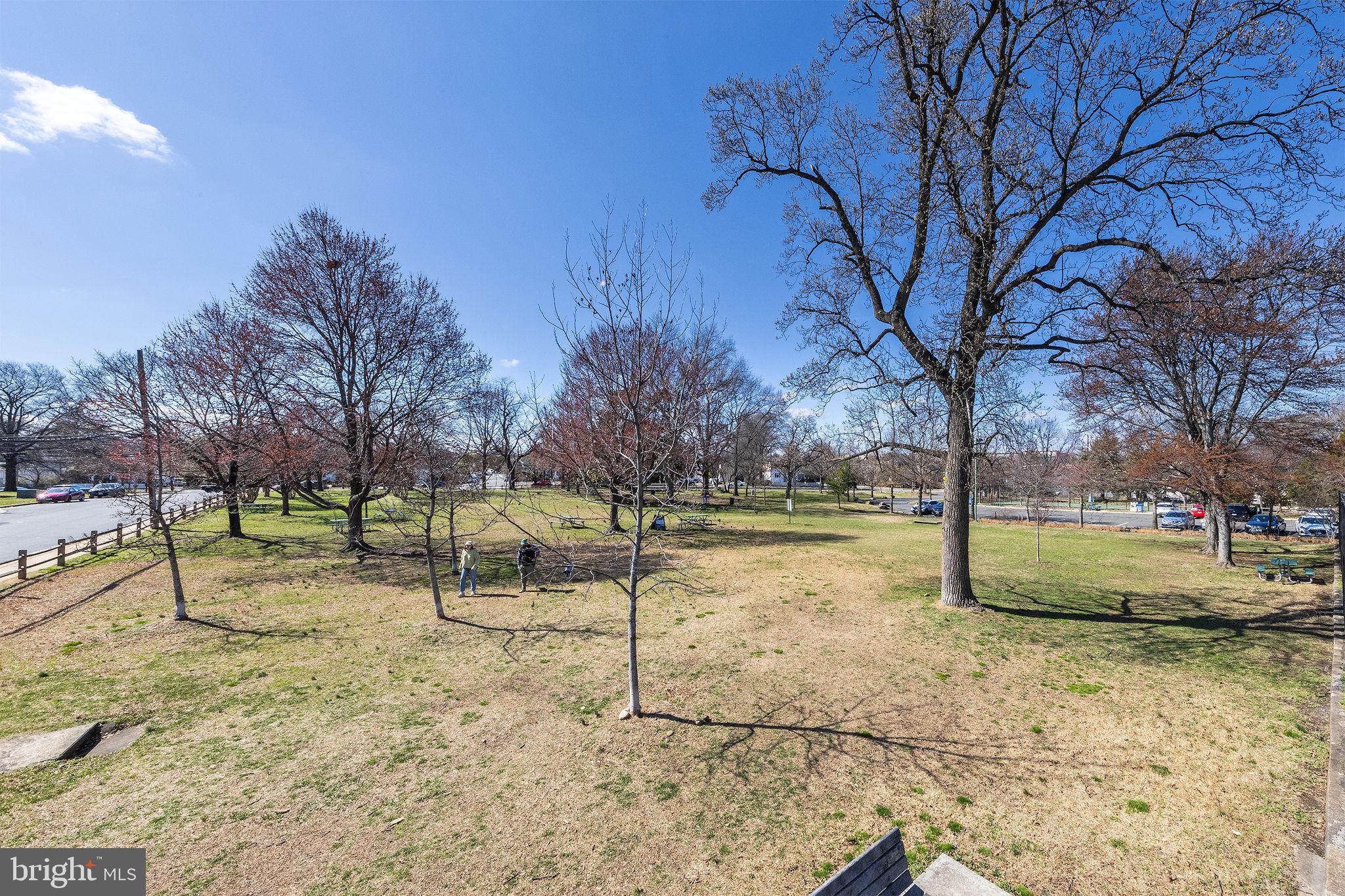 ARLINGTON COURT - Residential