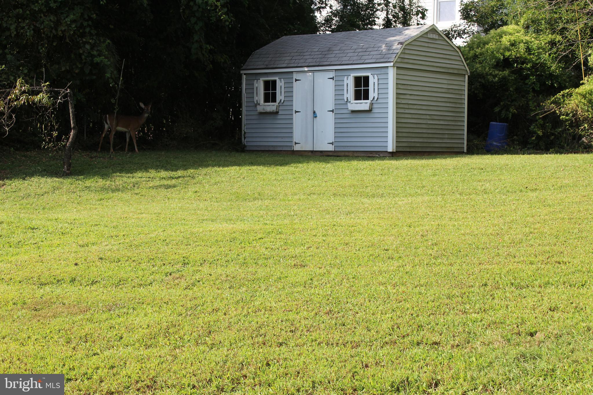 BERWYN HEIGHTS - Residential Lease