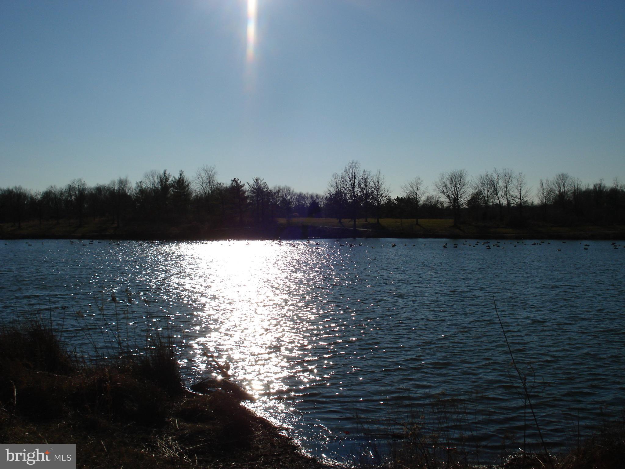 BERWYN HEIGHTS - Residential Lease