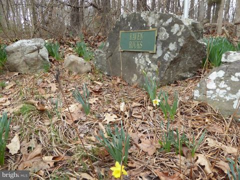 Vacant Land For Sale - LOT 13 Fawn Drive<br/> SPRINGFIELD, WV 26763