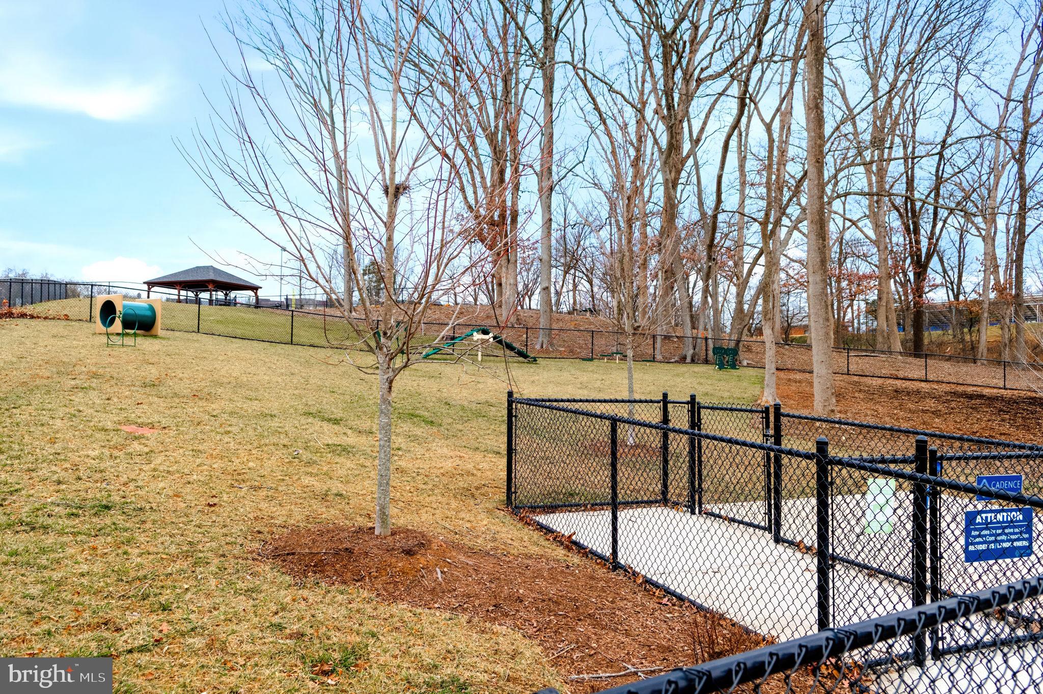 CADENCE AT LANSDOWNE - Residential