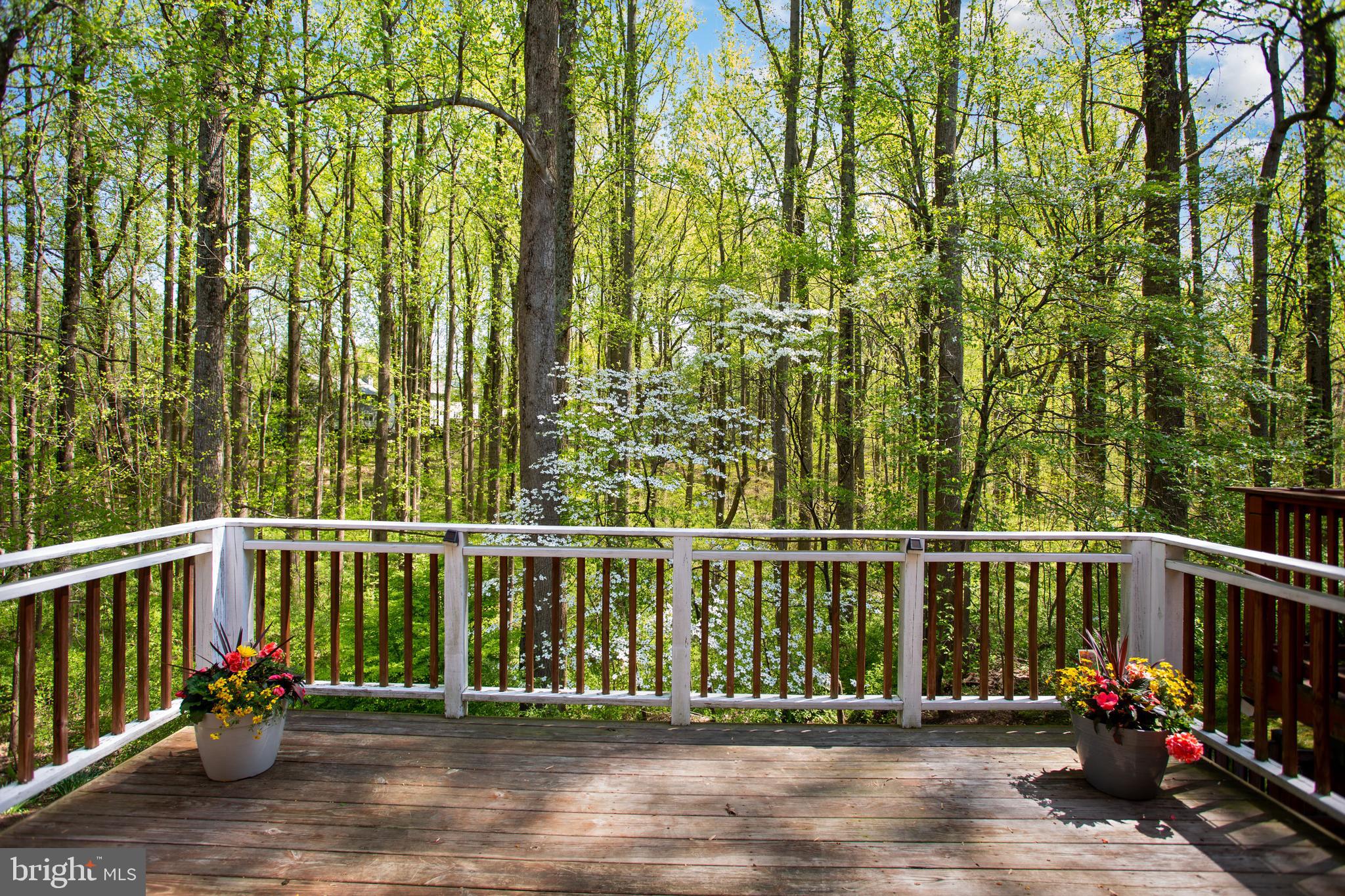 VILLAGE OF HICKORY RIDGE - Residential