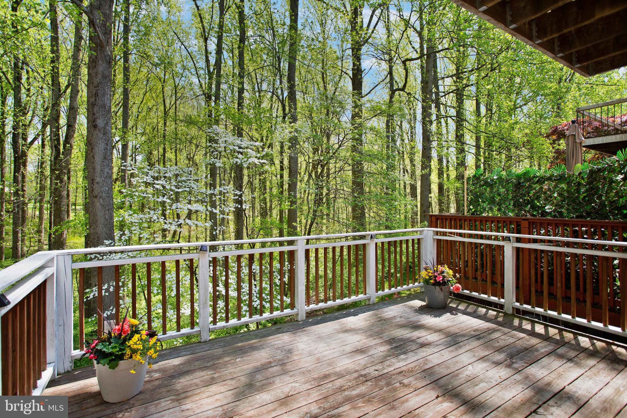 VILLAGE OF HICKORY RIDGE - Residential