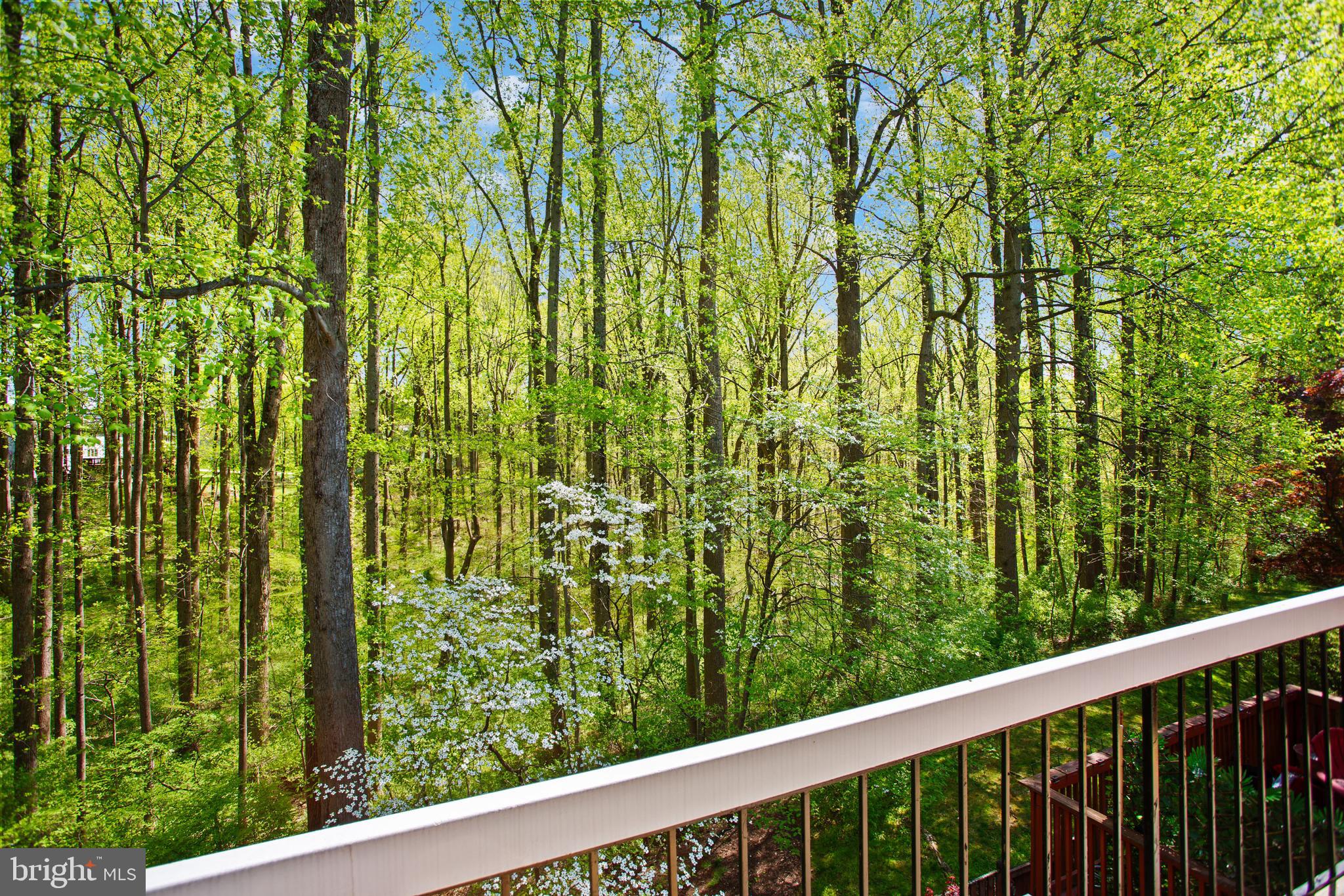 VILLAGE OF HICKORY RIDGE - Residential