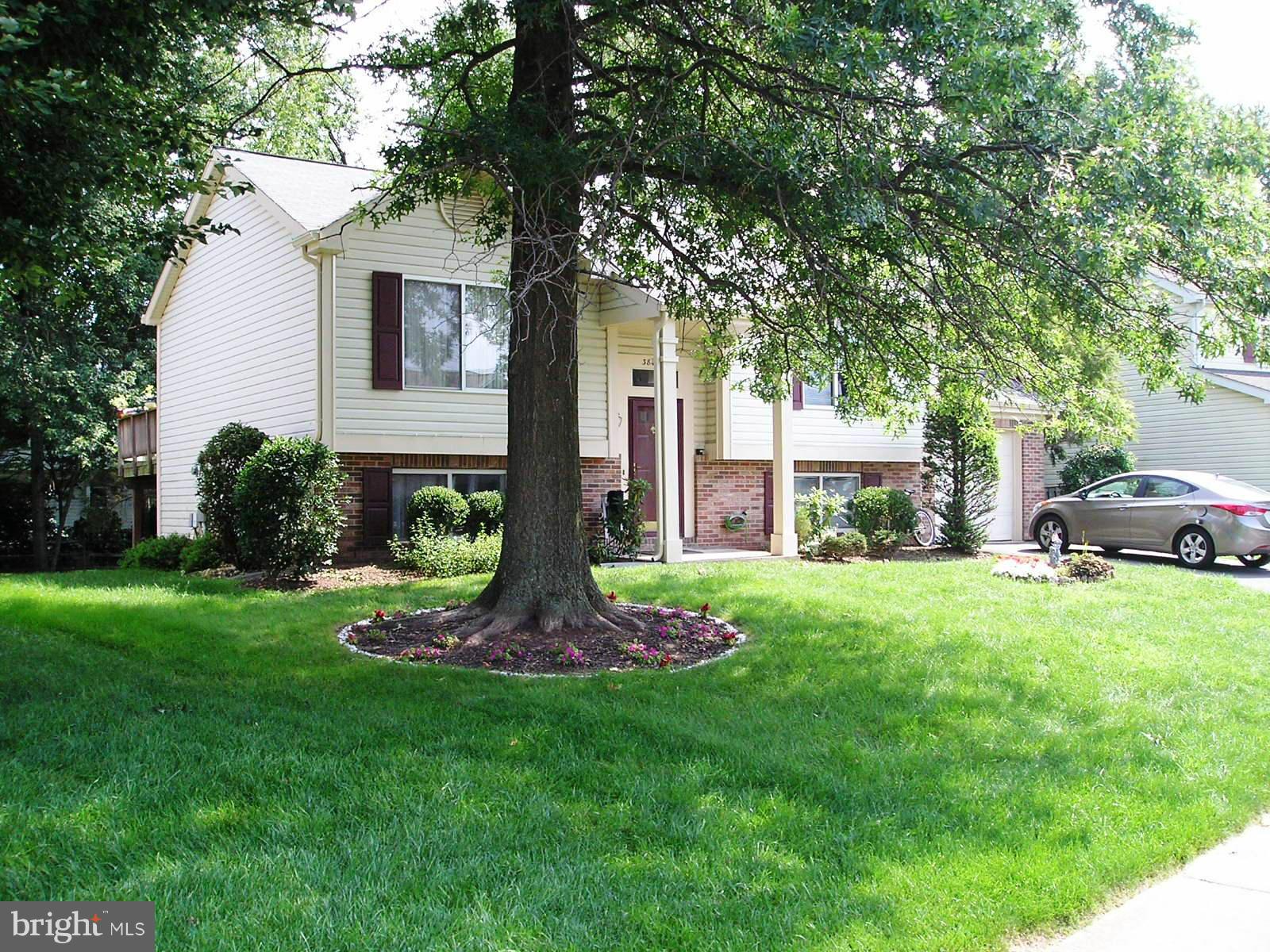 ARMFIELD FARMS - Residential Lease