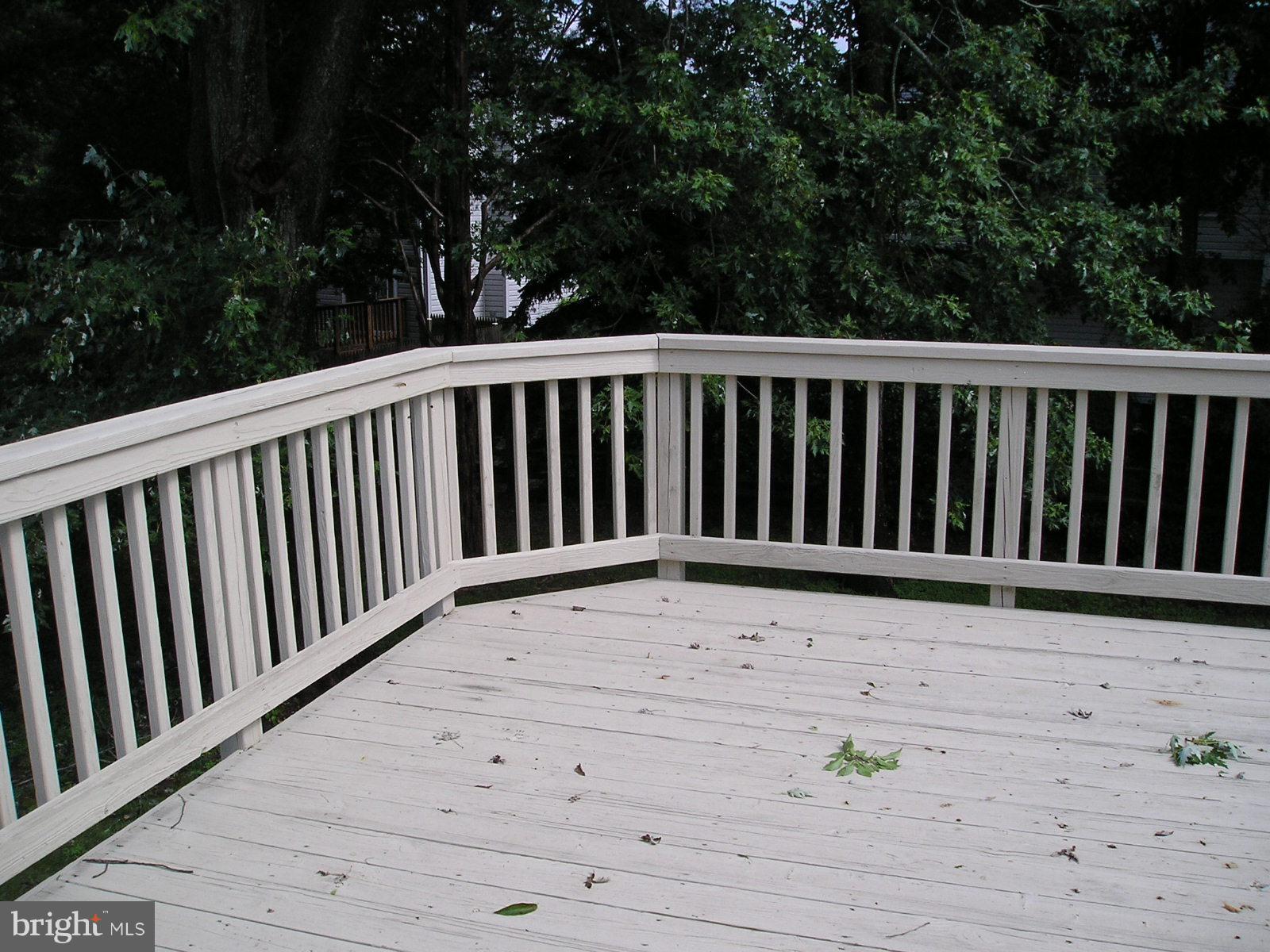 ARMFIELD FARMS - Residential Lease