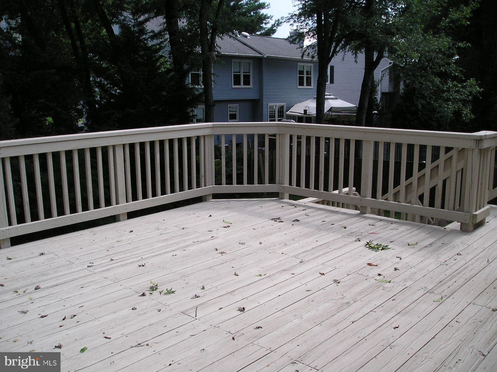 ARMFIELD FARMS - Residential Lease