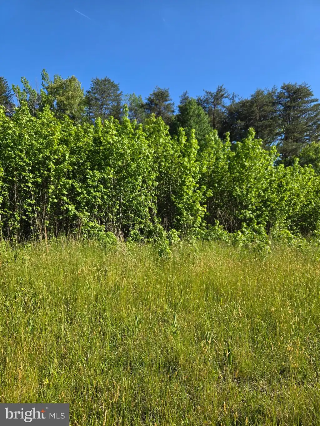 Additional image 4 of 4336 Massaponax Church Road, Fredericksburg, VA 22408