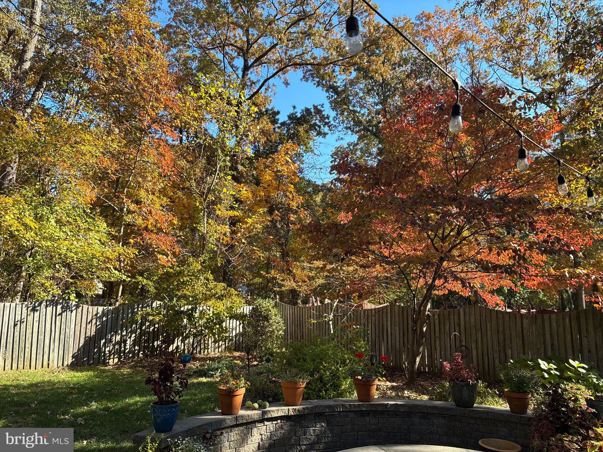 SHIPLEYS CHOICE - Residential