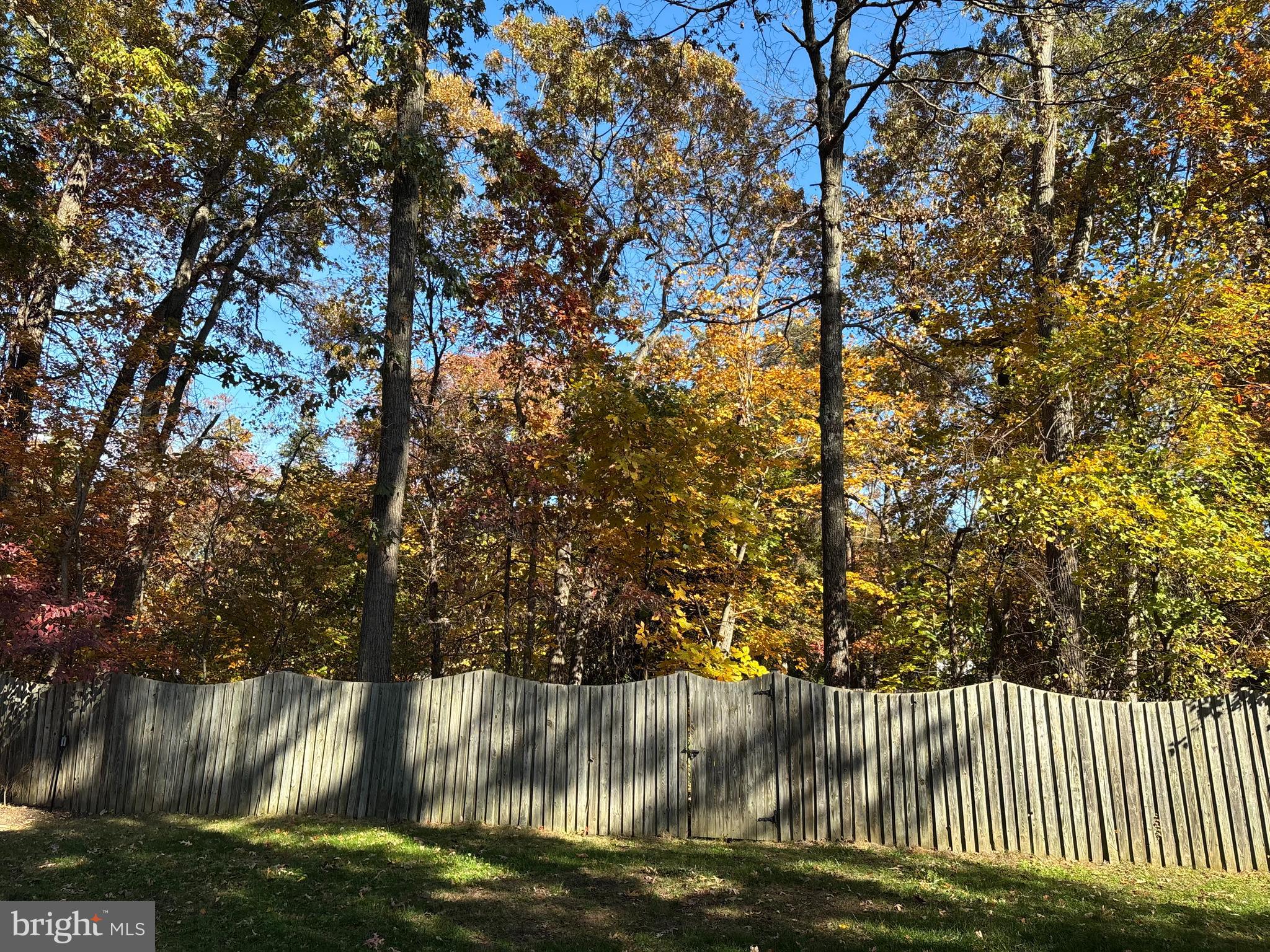 SHIPLEYS CHOICE - Residential