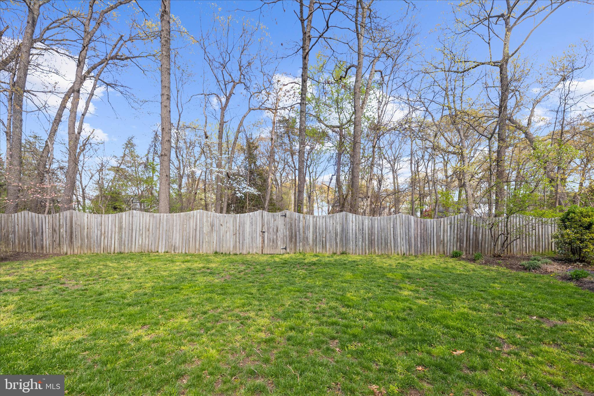 SHIPLEYS CHOICE - Residential